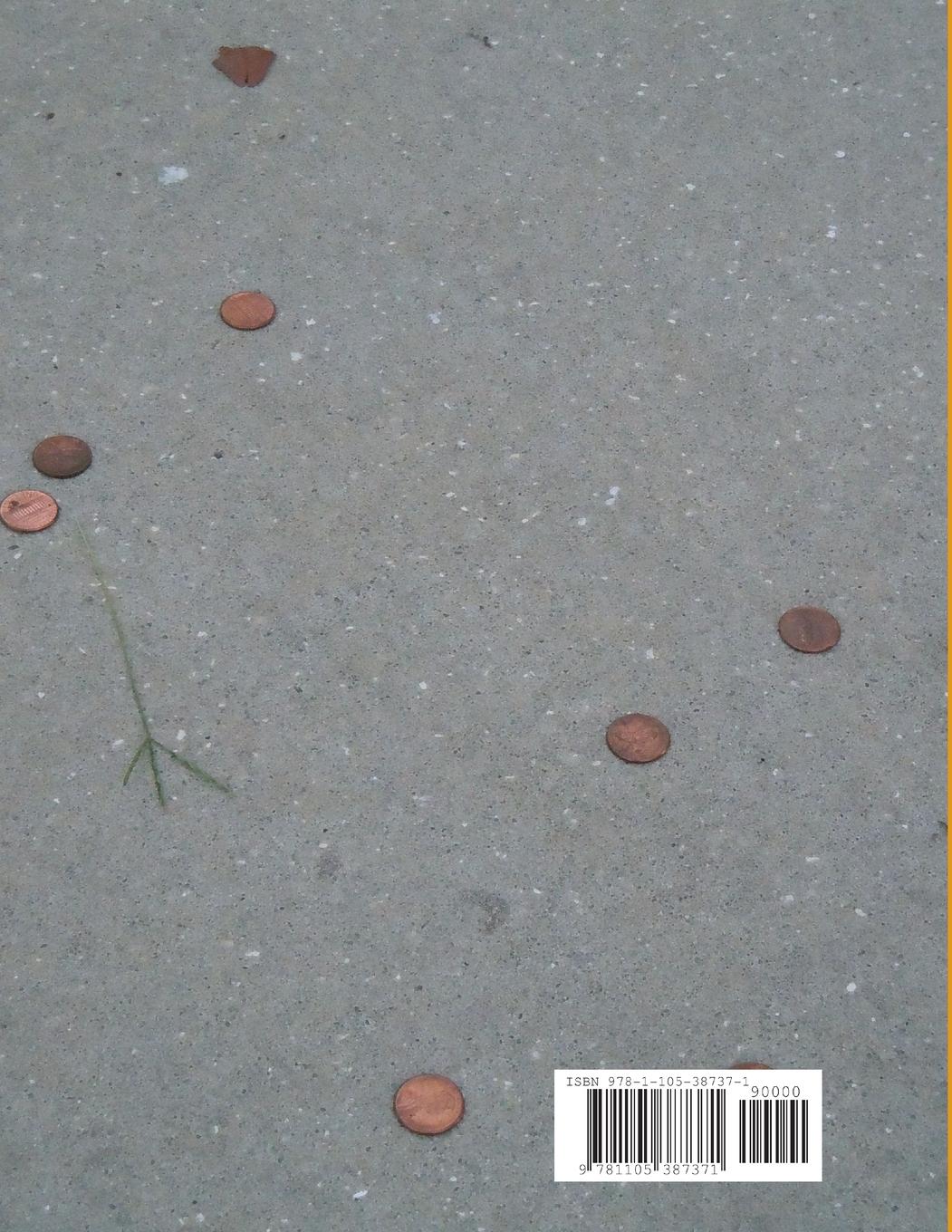 Rückseitencover No Penny Left Behind