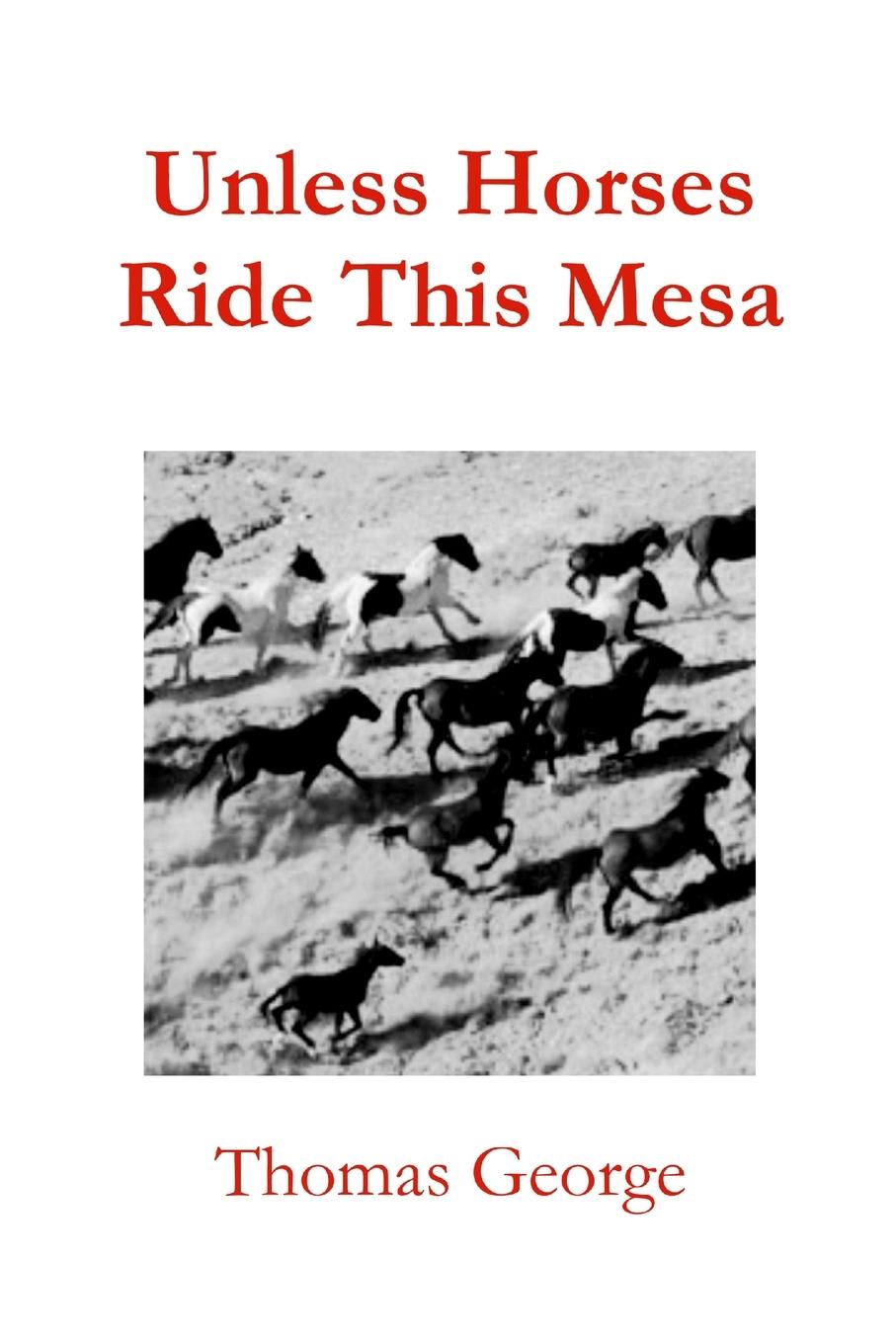 Vorderes Coverbild Unless Horses Ride This Mesa
