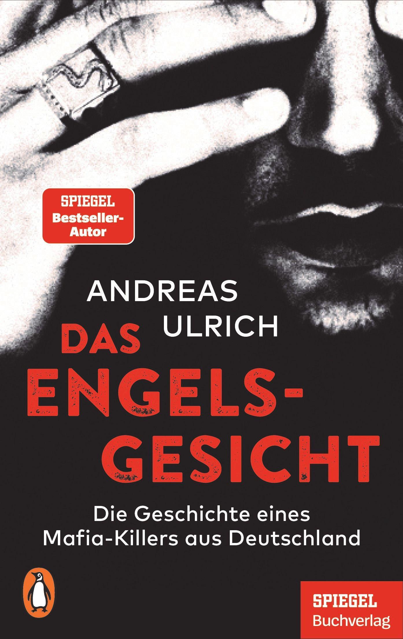 Vorderes Coverbild Das Engelsgesicht