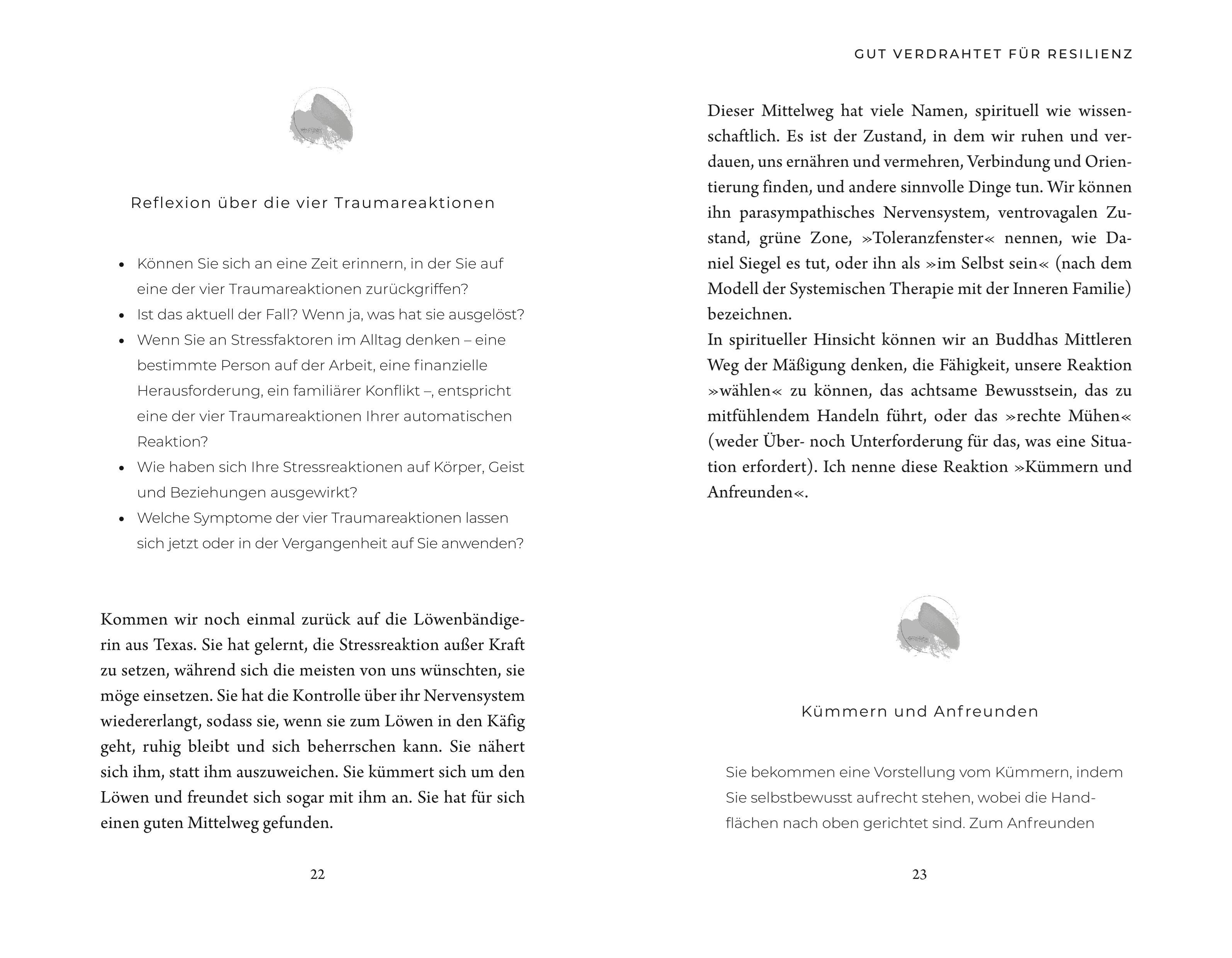 Beispielinhalt (Bild) Trauma Tools