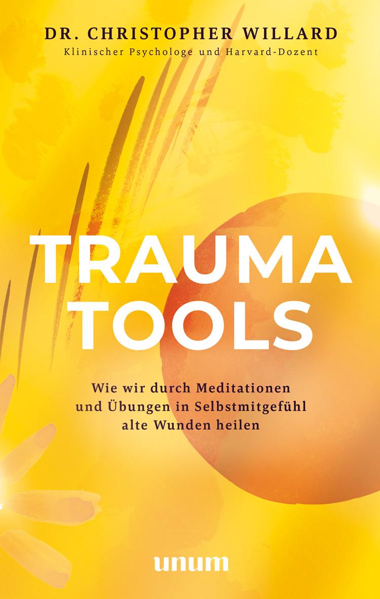 Vorderes Coverbild Trauma Tools