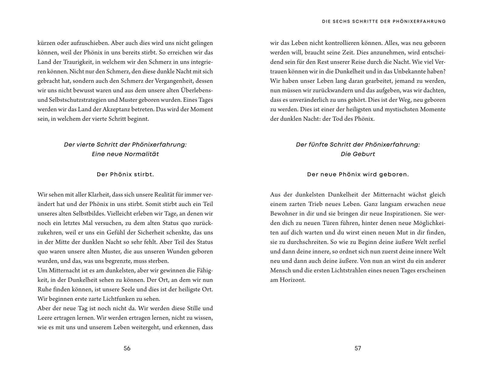 Beispielinhalt (Bild) Die Phönixerfahrung