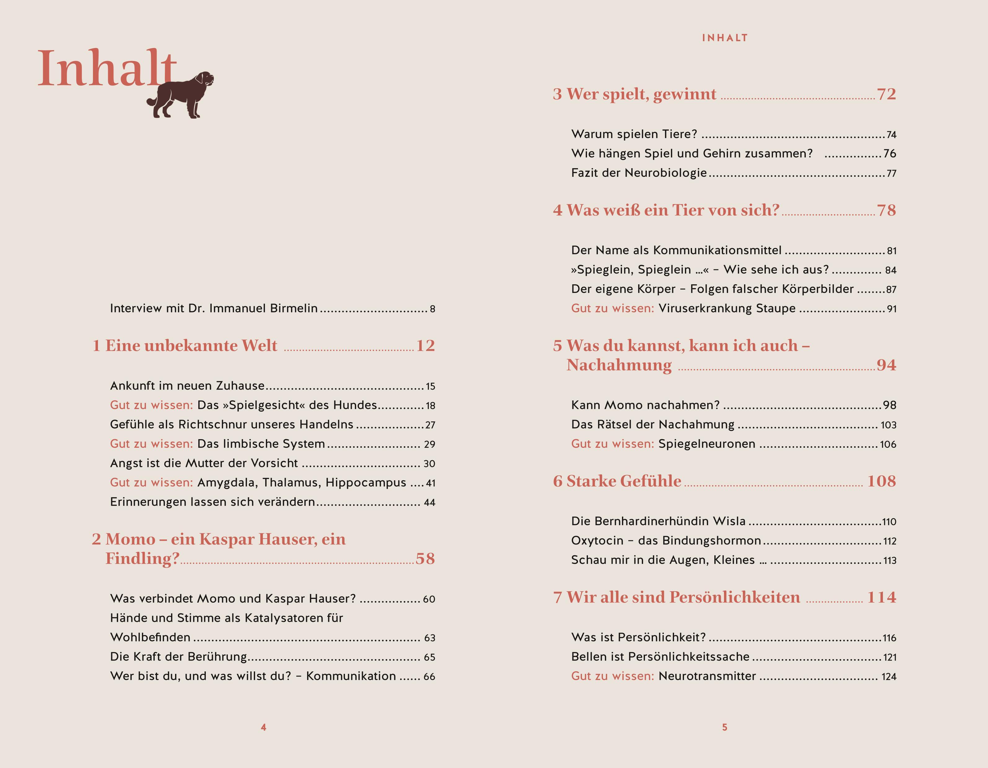 Beispielinhalt (Bild) Eine zweite Chance für Momo