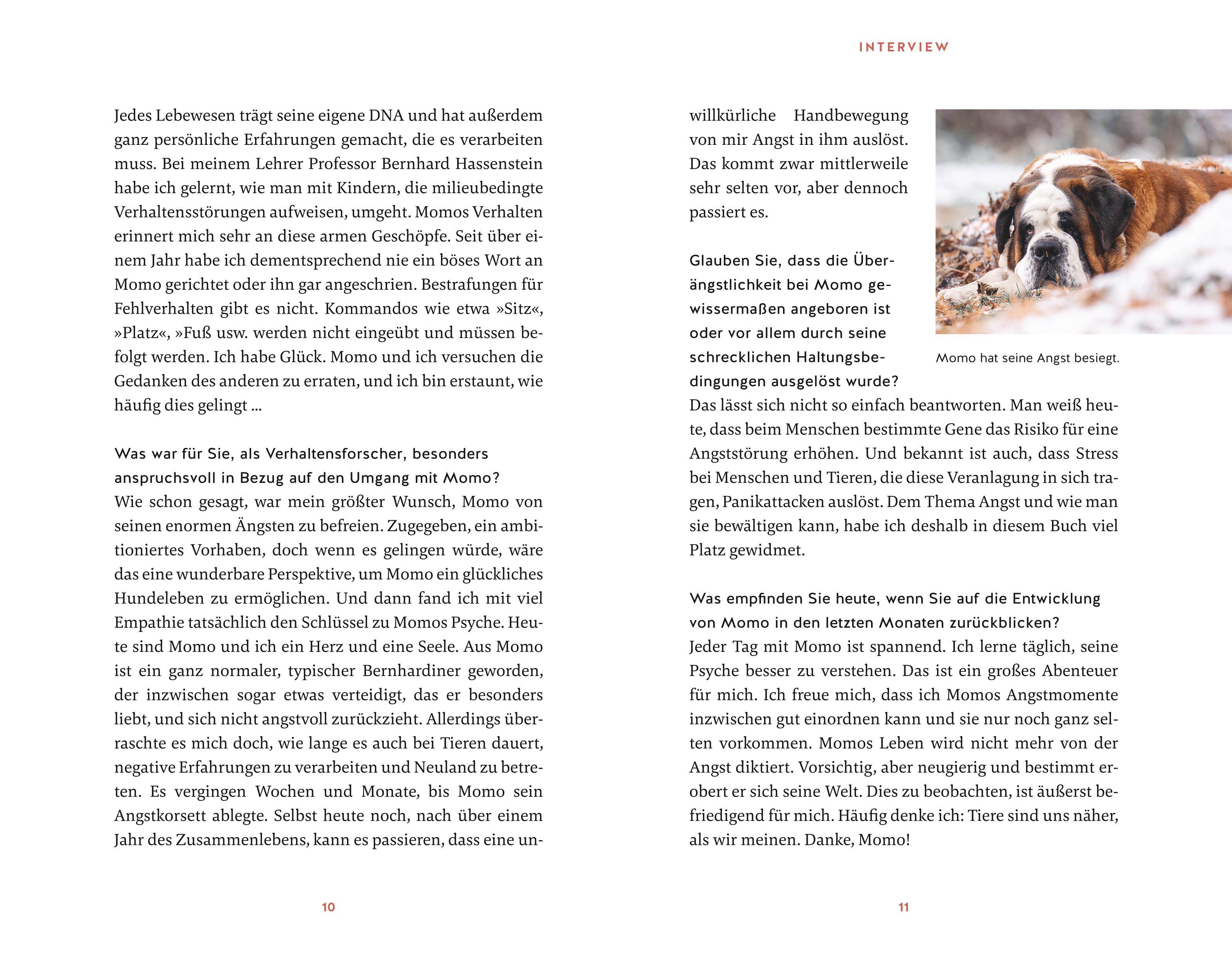 Beispielinhalt (Bild) Eine zweite Chance für Momo