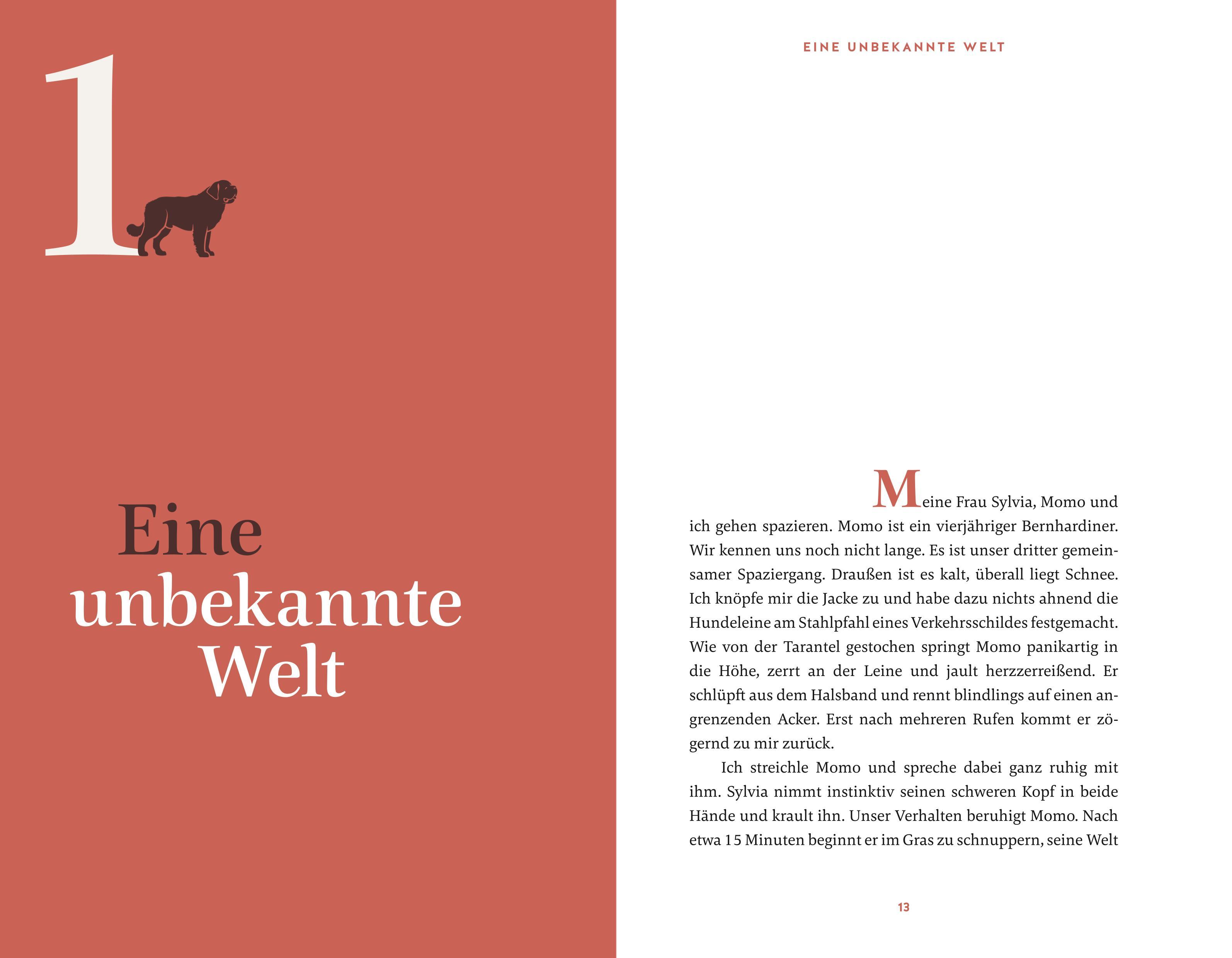 Beispielinhalt (Bild) Eine zweite Chance für Momo