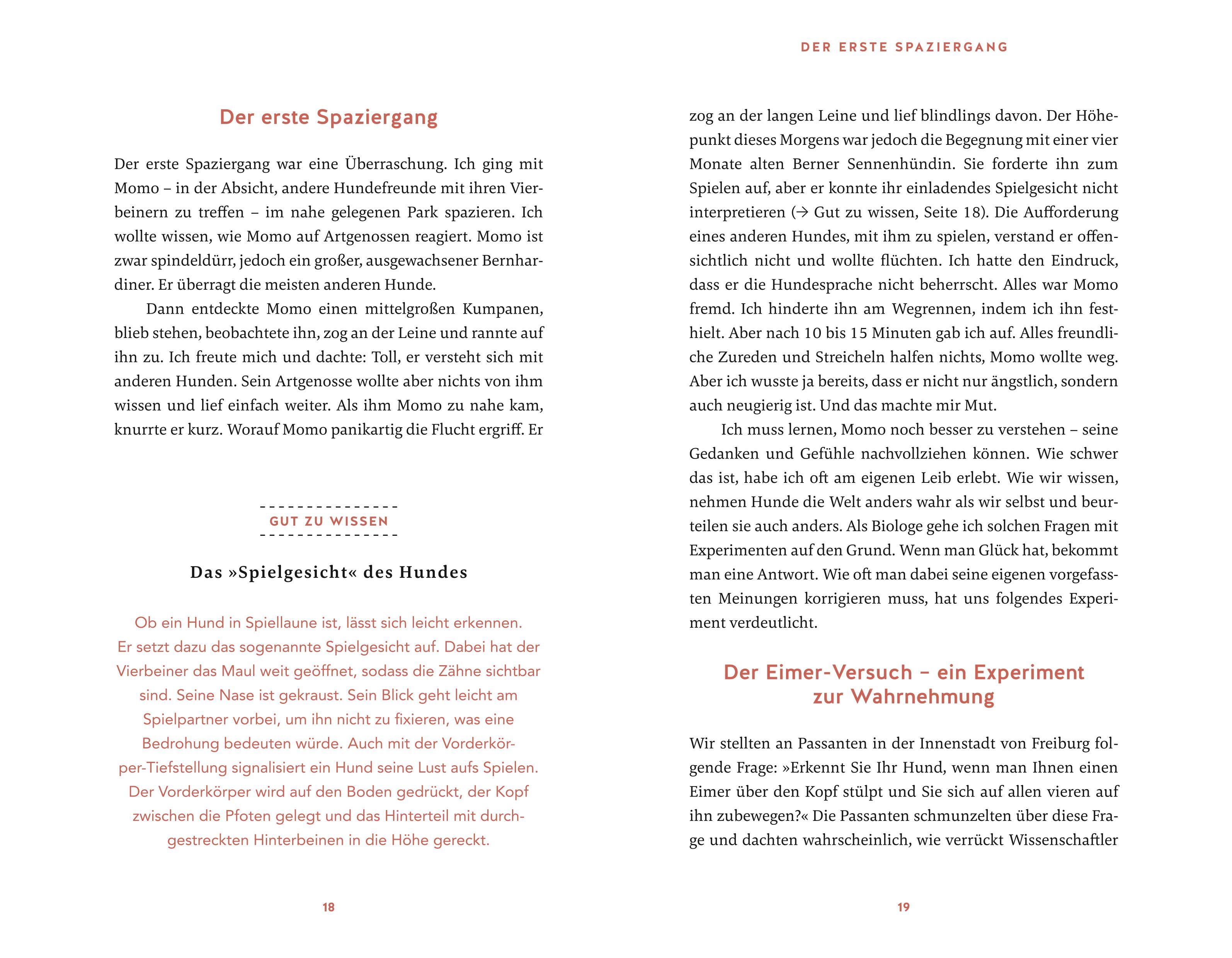 Beispielinhalt (Bild) Eine zweite Chance für Momo