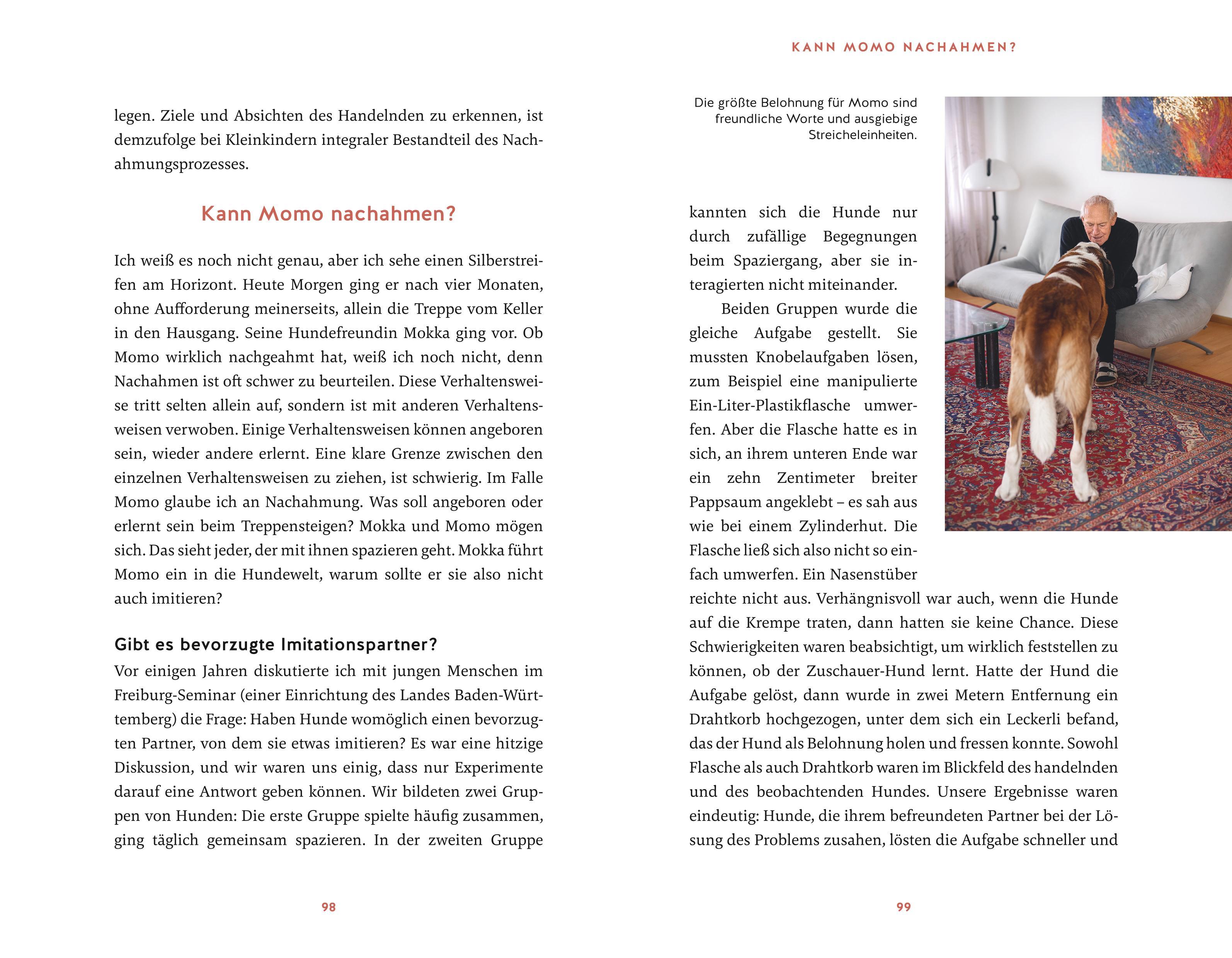 Beispielinhalt (Bild) Eine zweite Chance für Momo