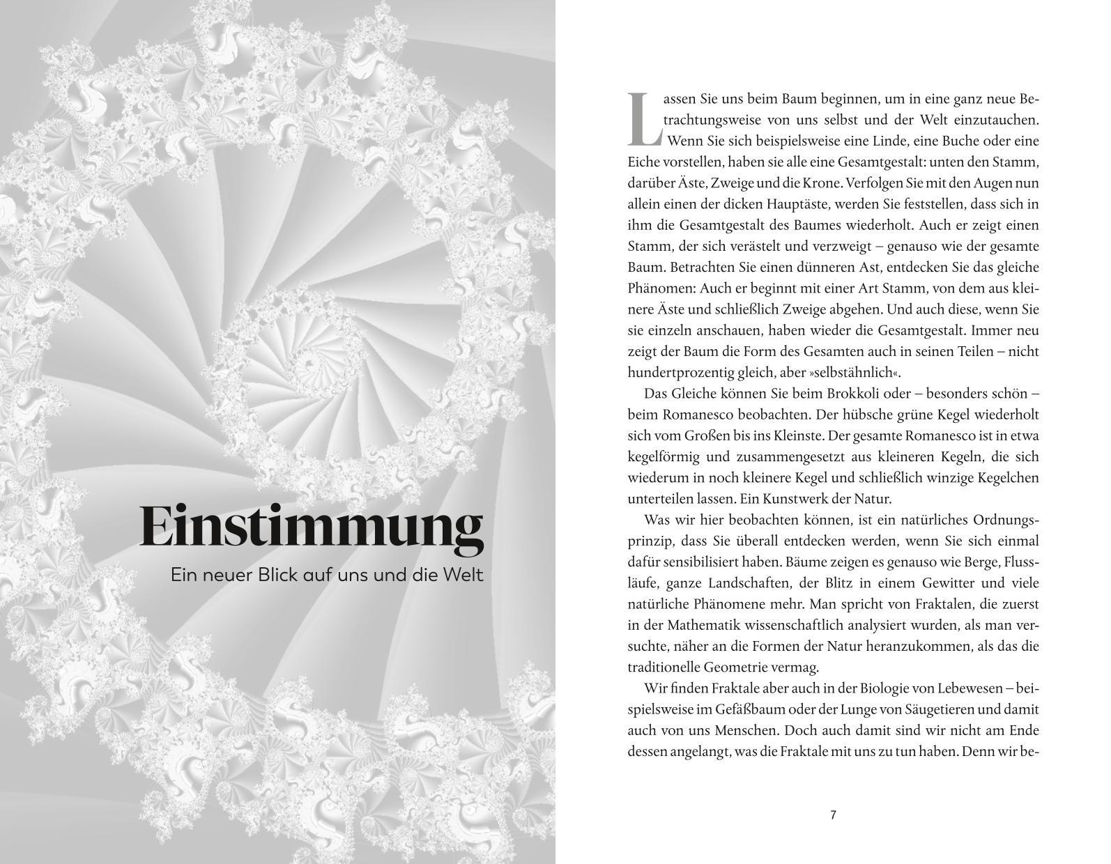 Beispielinhalt (Bild) Geometrie der Seele