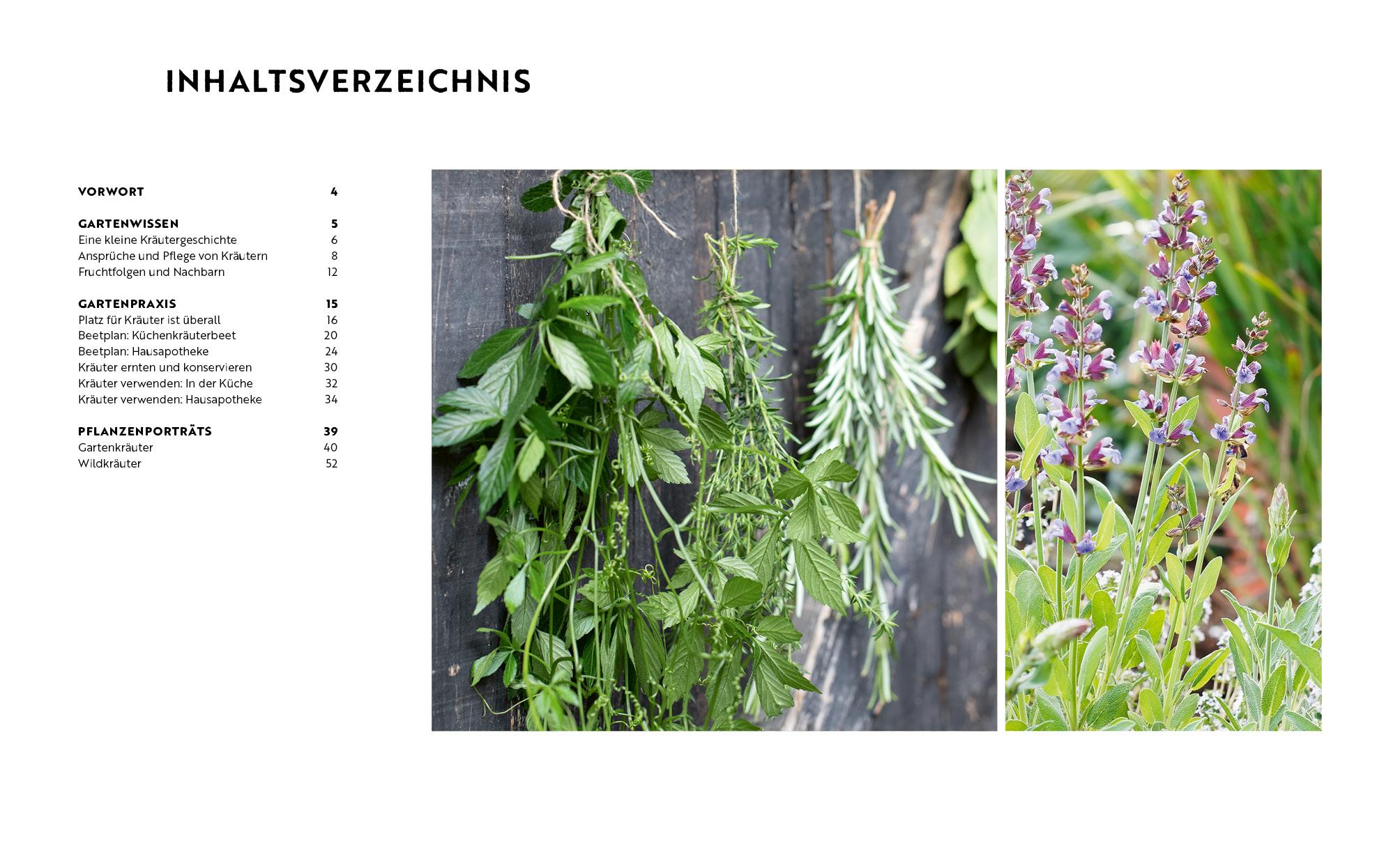 Beispielinhalt (Bild) Gartenmomente: Kräuter im Garten