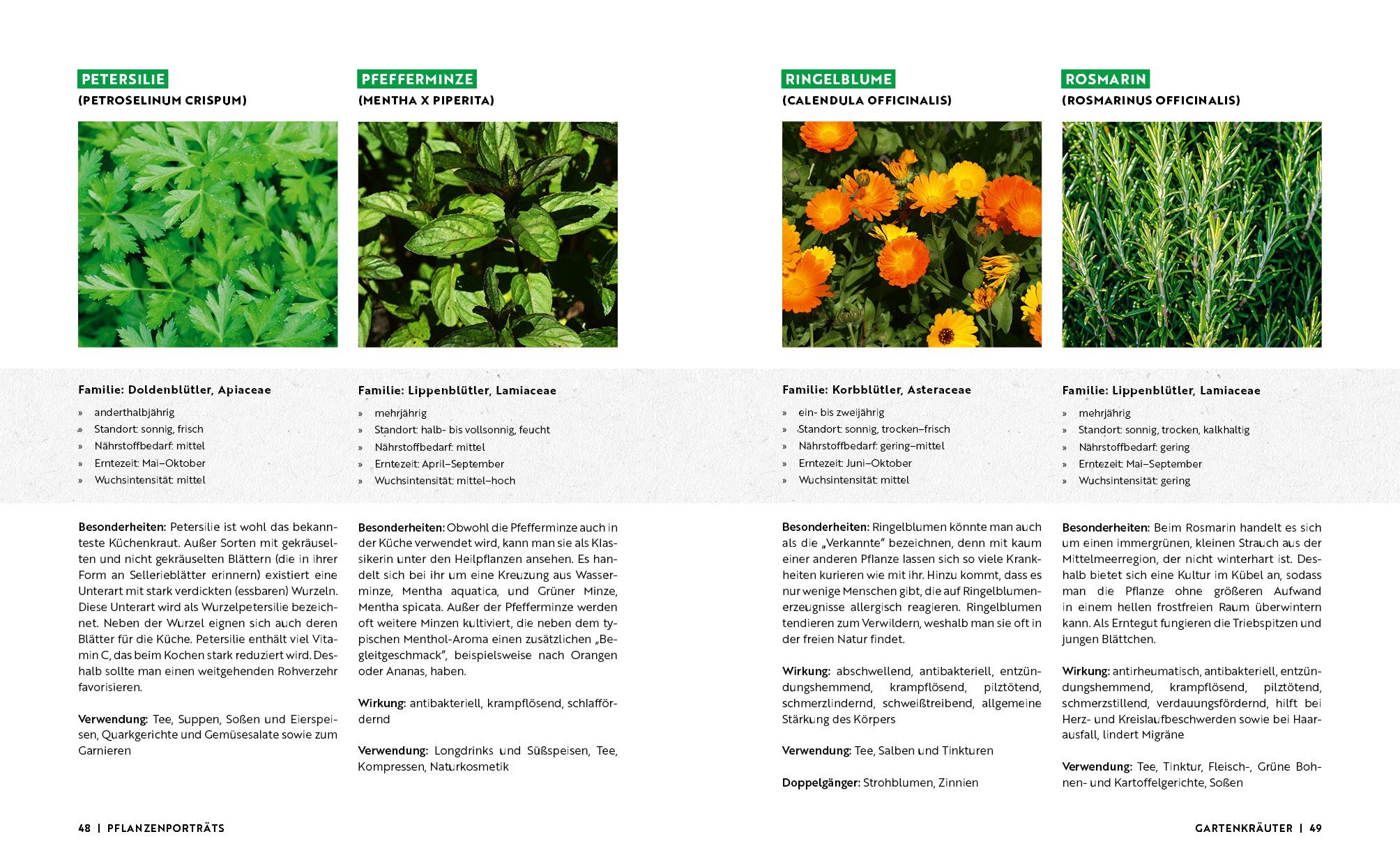 Beispielinhalt (Bild) Gartenmomente: Kräuter im Garten