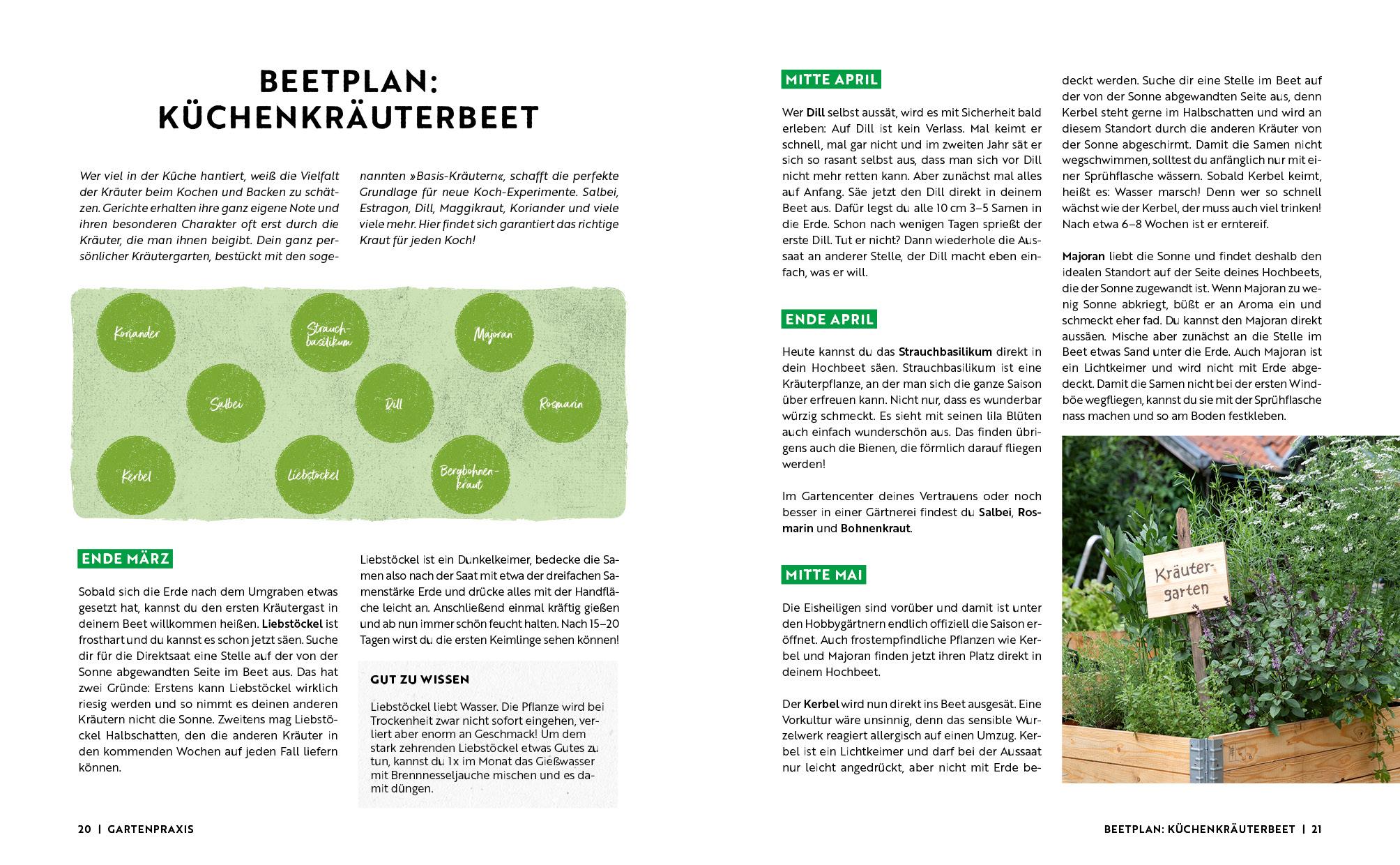 Beispielinhalt (Bild) Gartenmomente: Kräuter im Garten