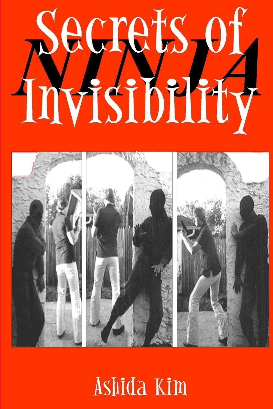 Vorderes Coverbild Secrets of Invisibility