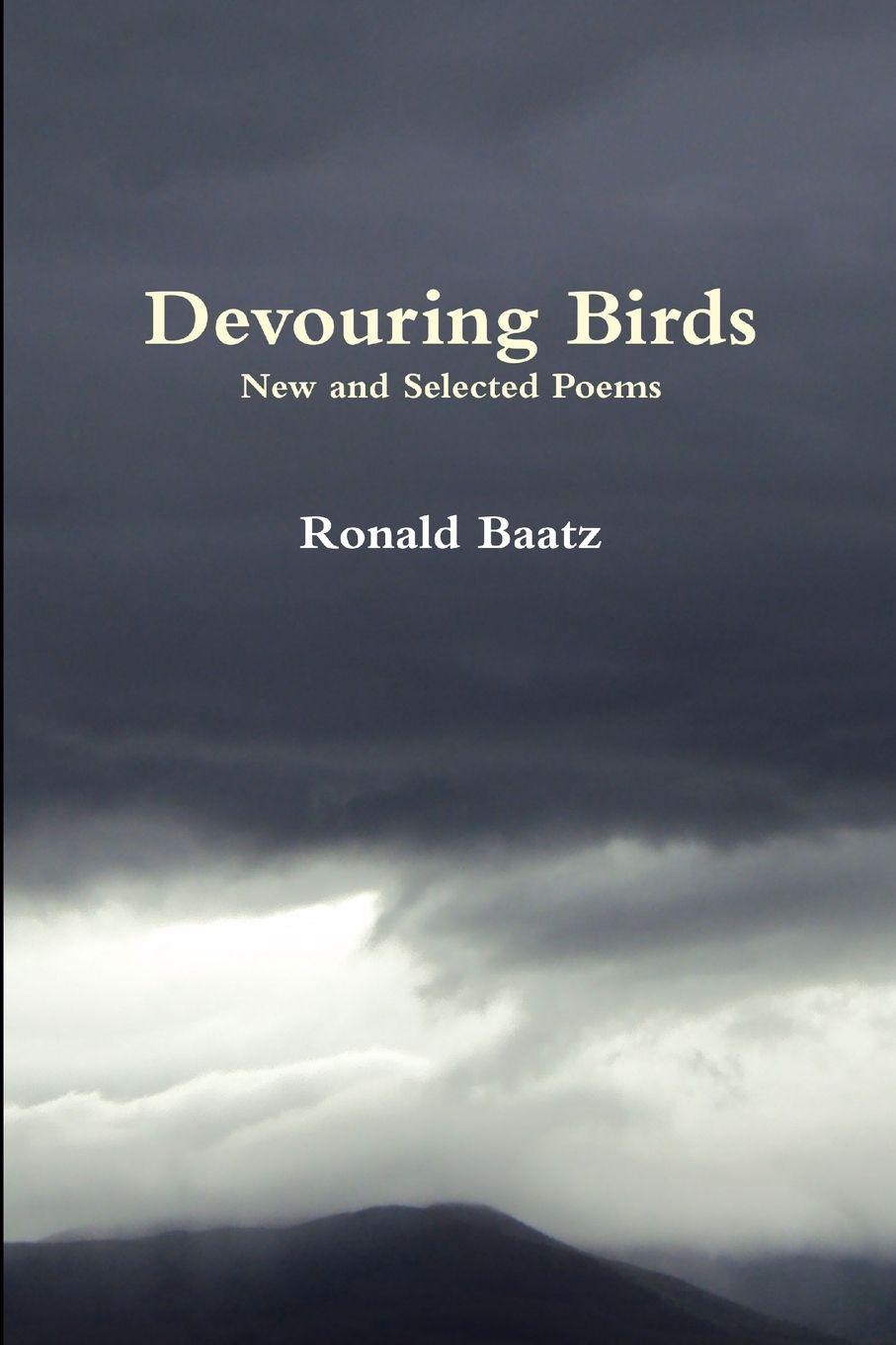 Vorderes Coverbild Devouring Birds