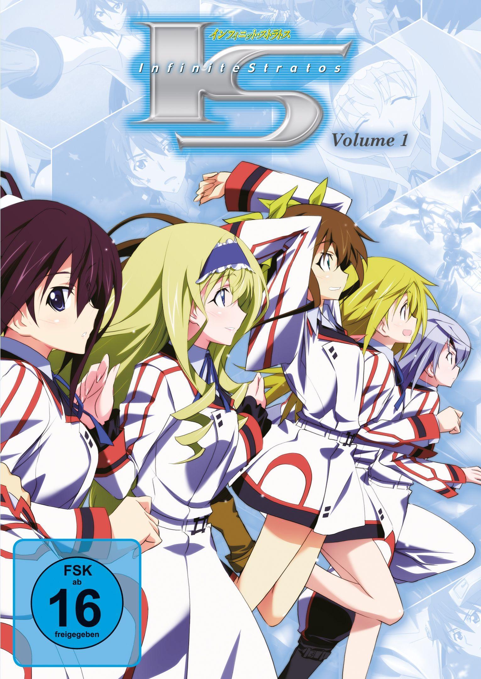 Vorderes Coverbild Infinite Stratos