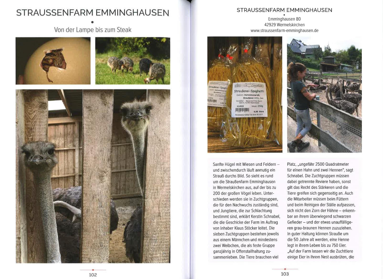 Beispielinhalt (Bild) Bergisches Land - Hofläden & Manufakturen