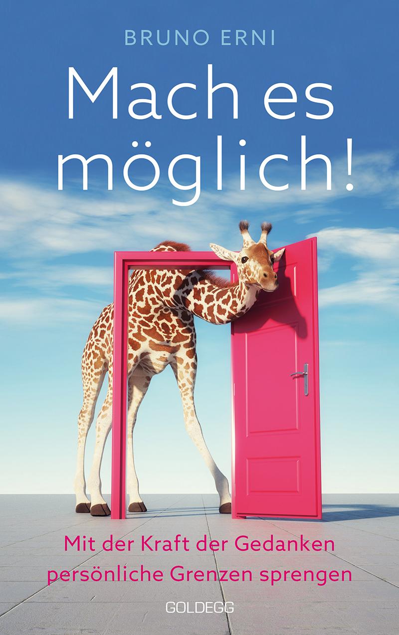 Vorderes Coverbild Mach es möglich!