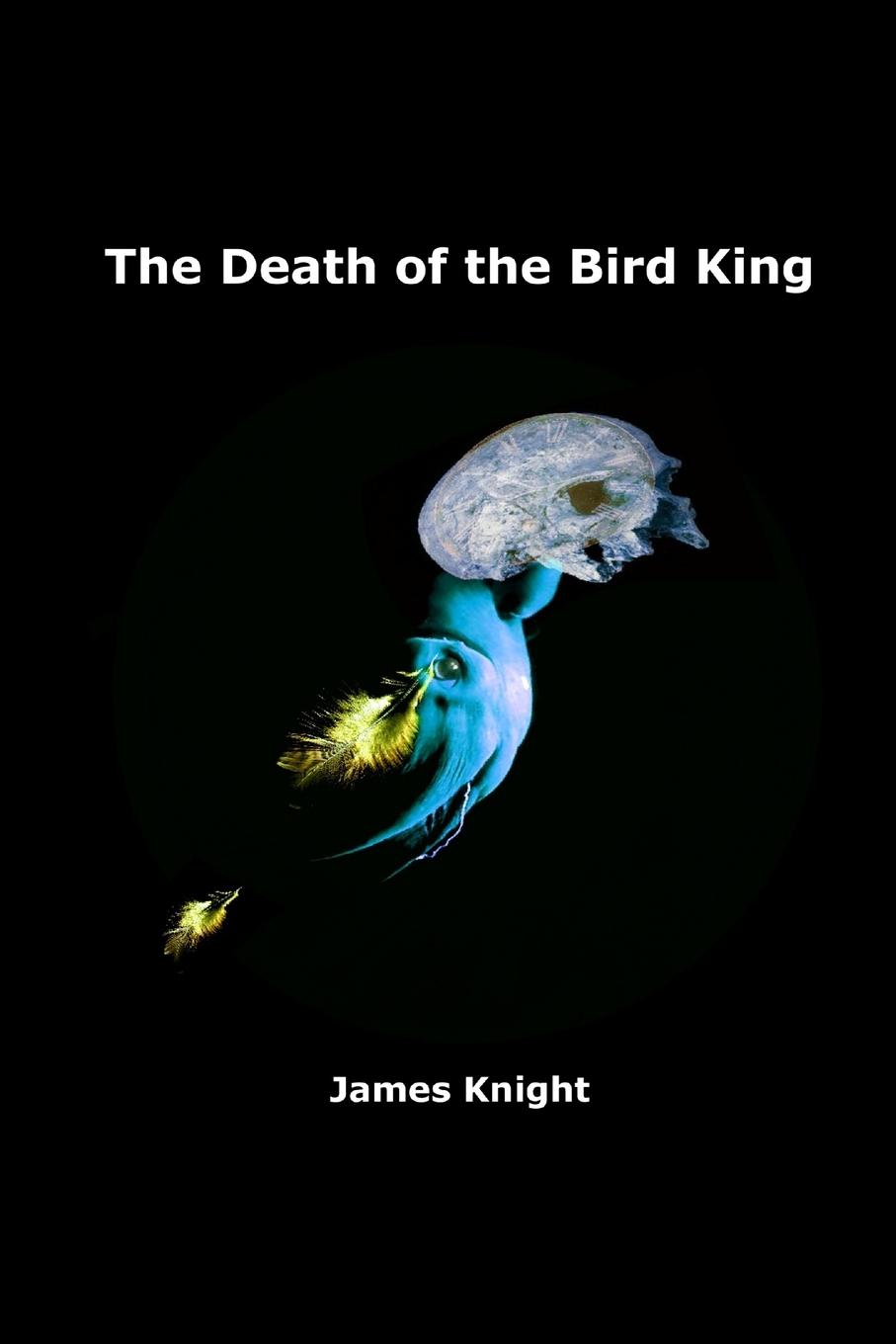 Vorderes Coverbild The Death of the Bird King