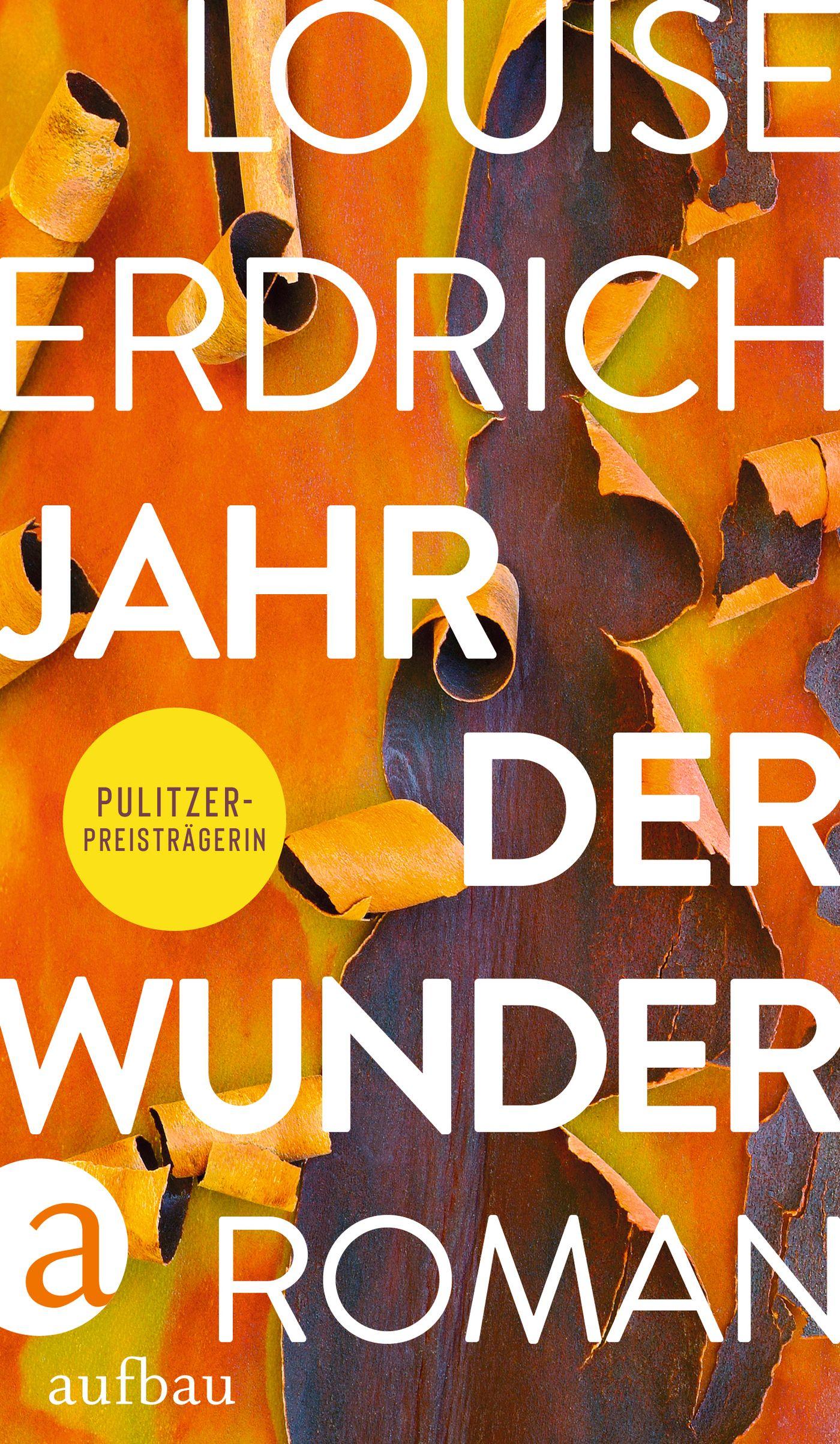 Vorderes Coverbild Jahr der Wunder