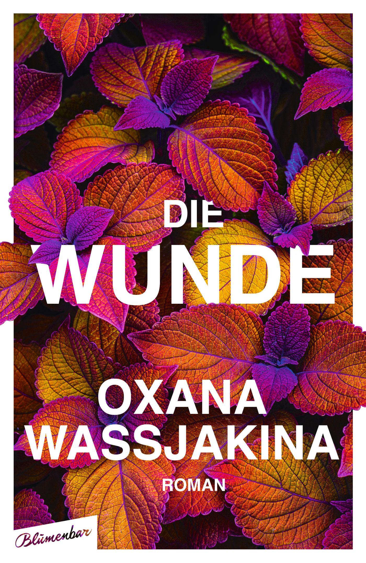Vorderes Coverbild Die Wunde
