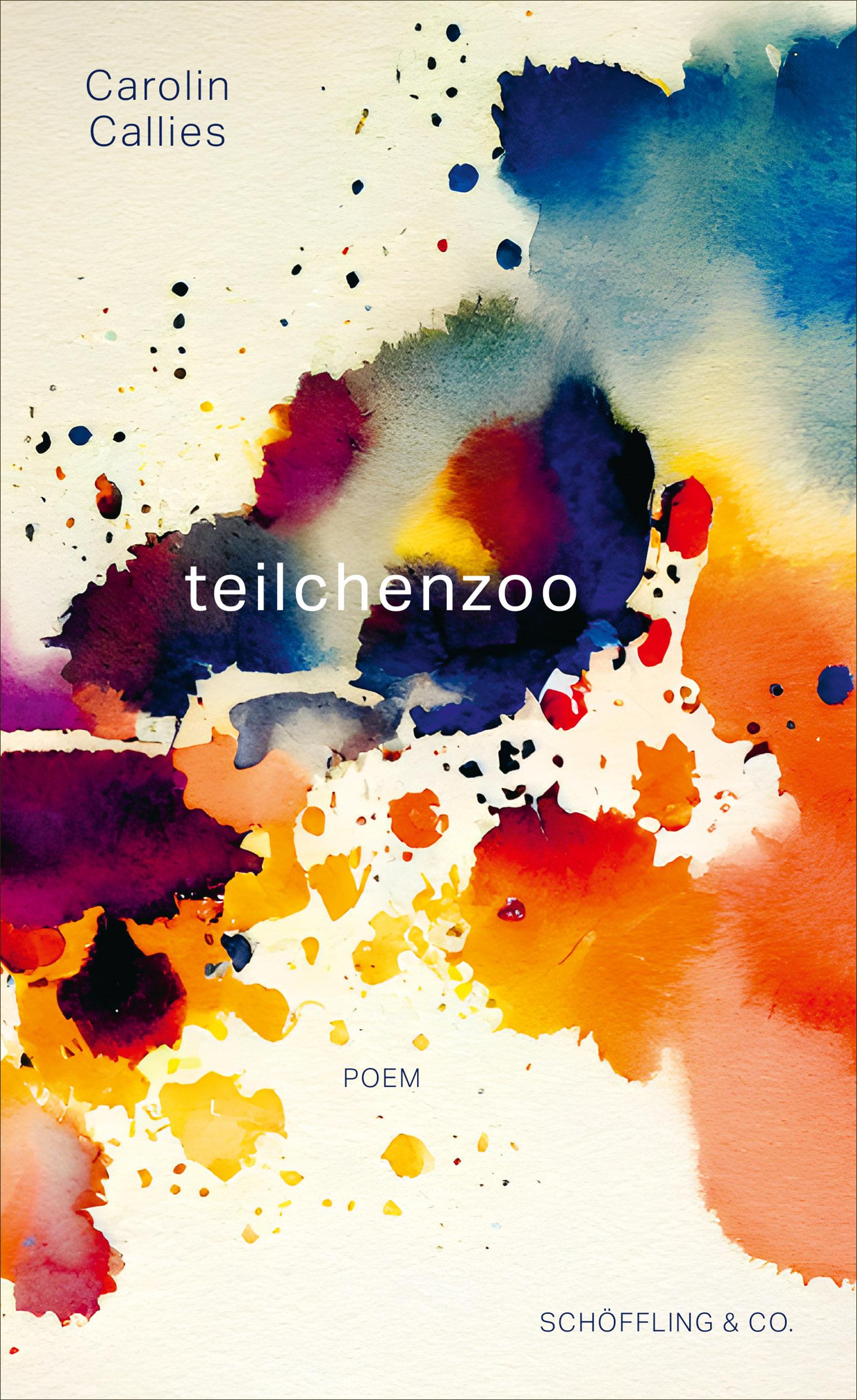 Vorderes Coverbild teilchenzoo