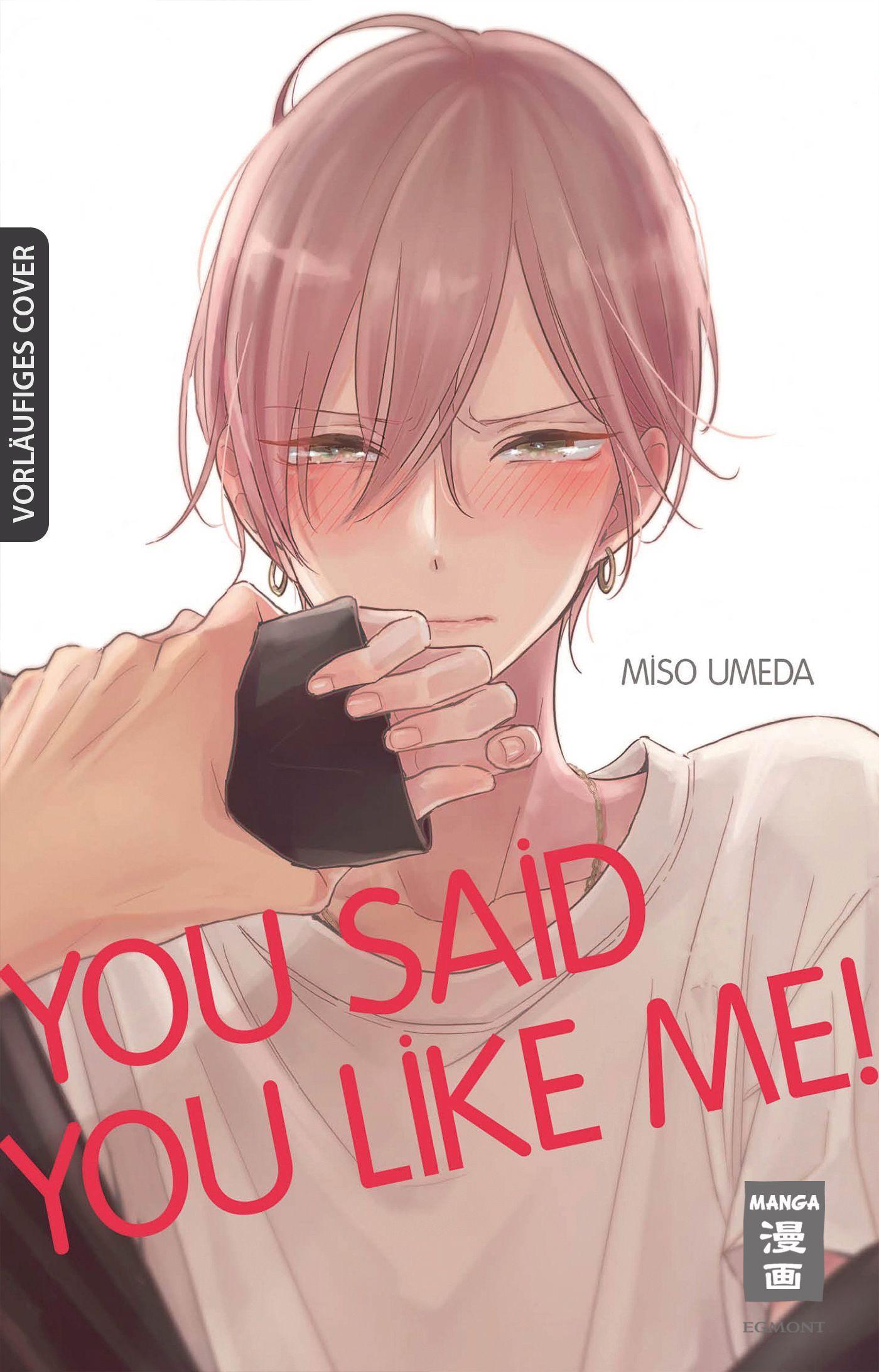 Vorderes Coverbild You Said You Like Me! 01