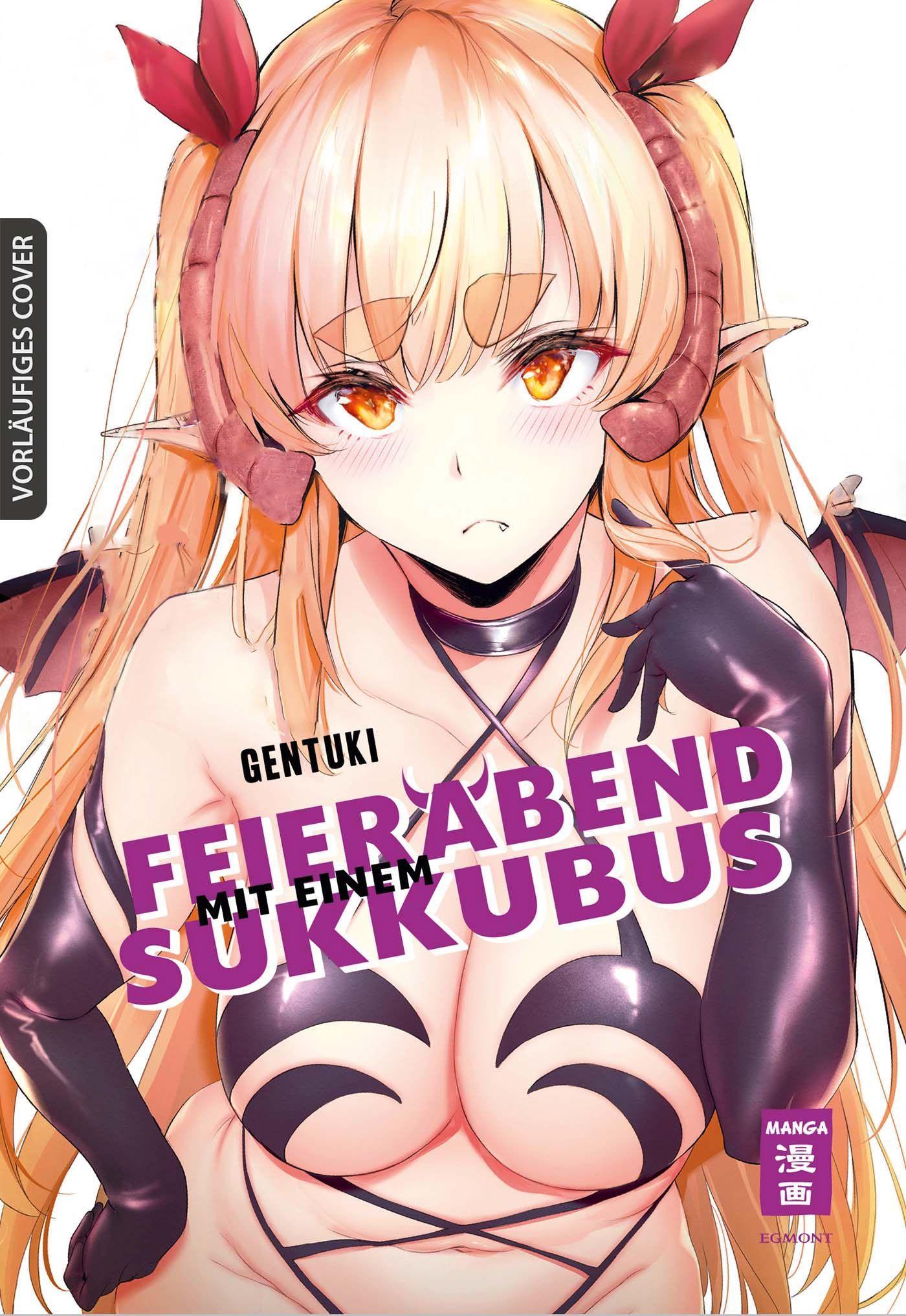 Vorderes Coverbild Feierabend mit einem Sukkubus