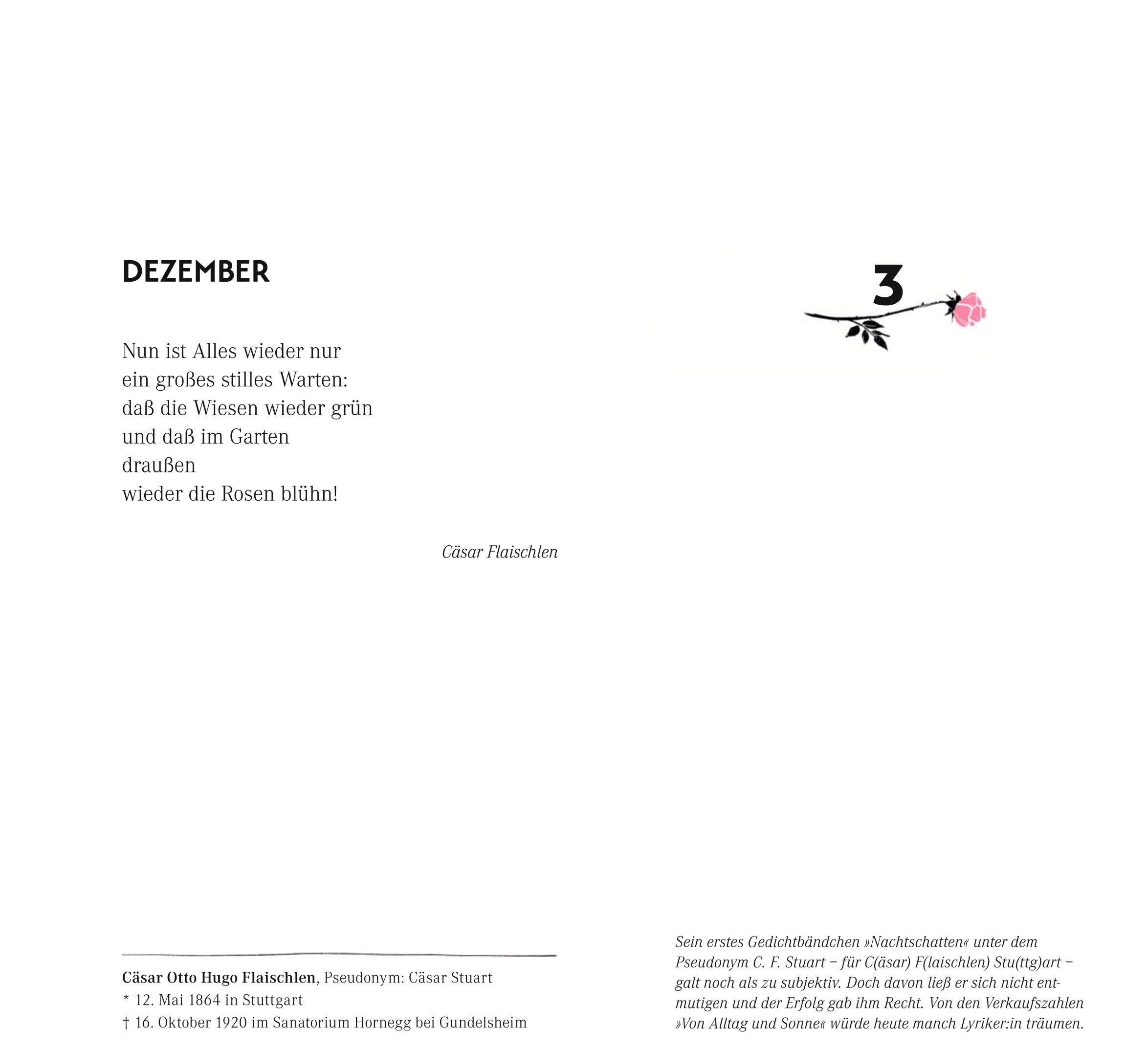 Beispielinhalt (Bild) Literarischer Adventskalender für Baden und Württemberg