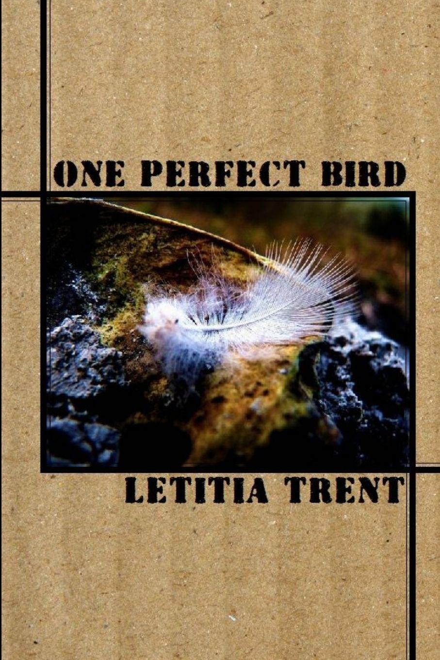 Vorderes Coverbild One Perfect Bird