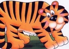 Vorderes Coverbild Tiger