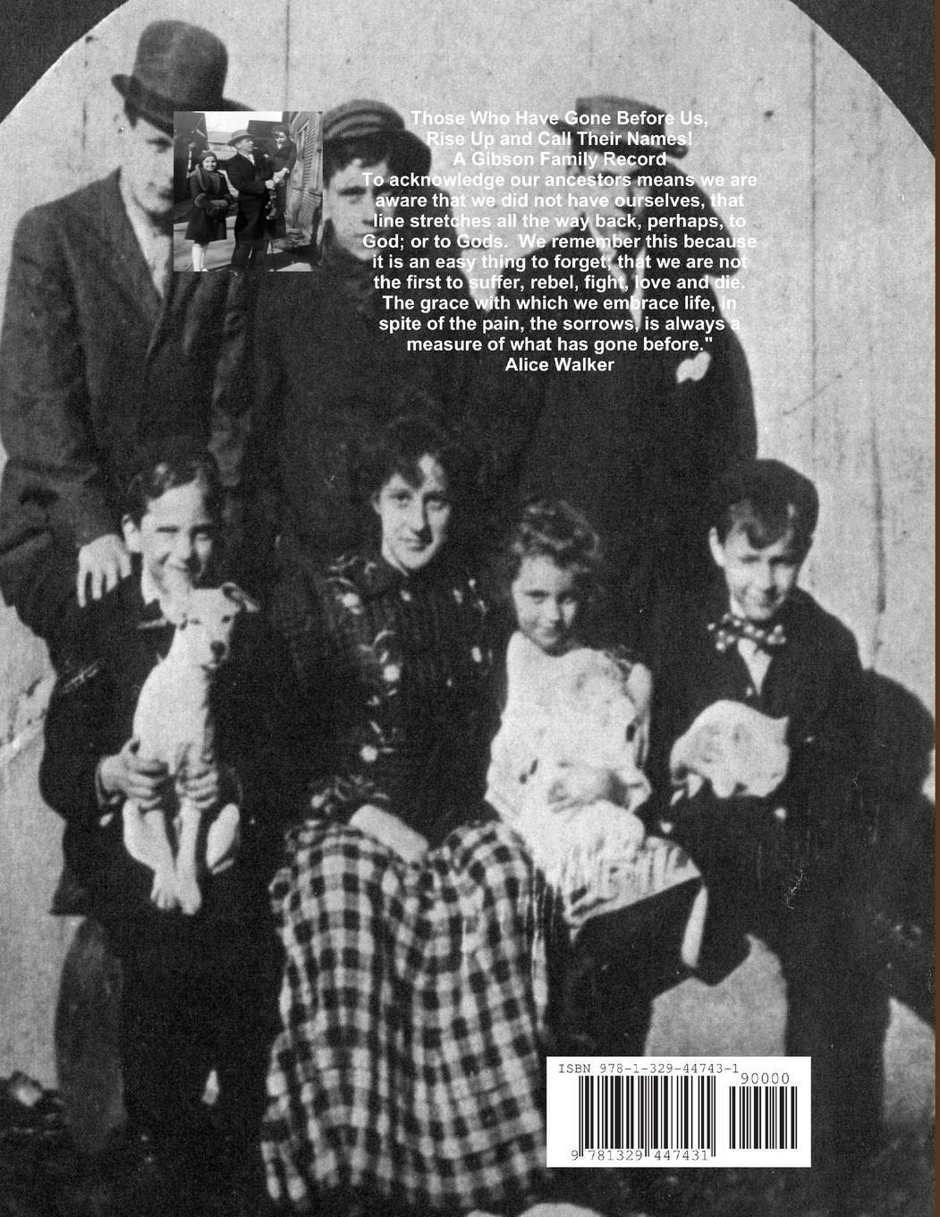 Rückseitencover Bill, Billy & Their Gang of Gibsons