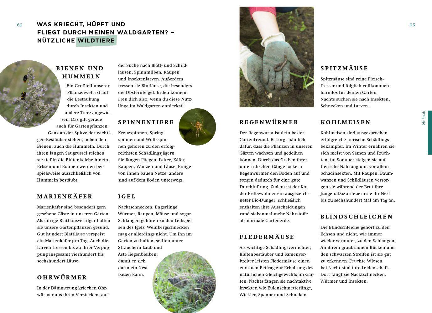 Beispielinhalt (Bild) Mein Waldgarten