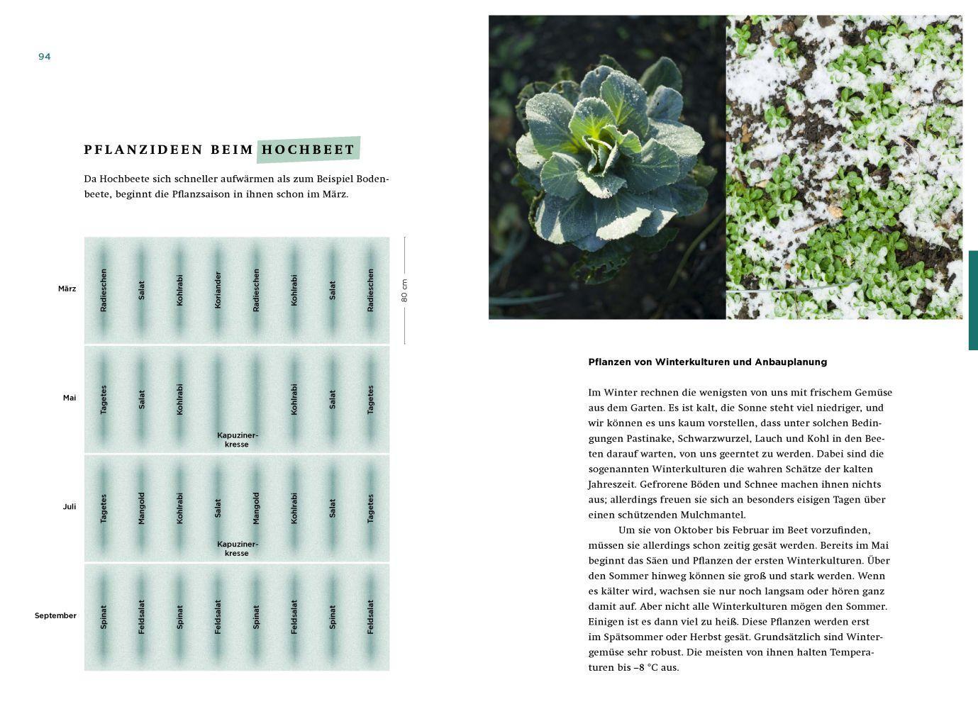 Beispielinhalt (Bild) Mein Waldgarten