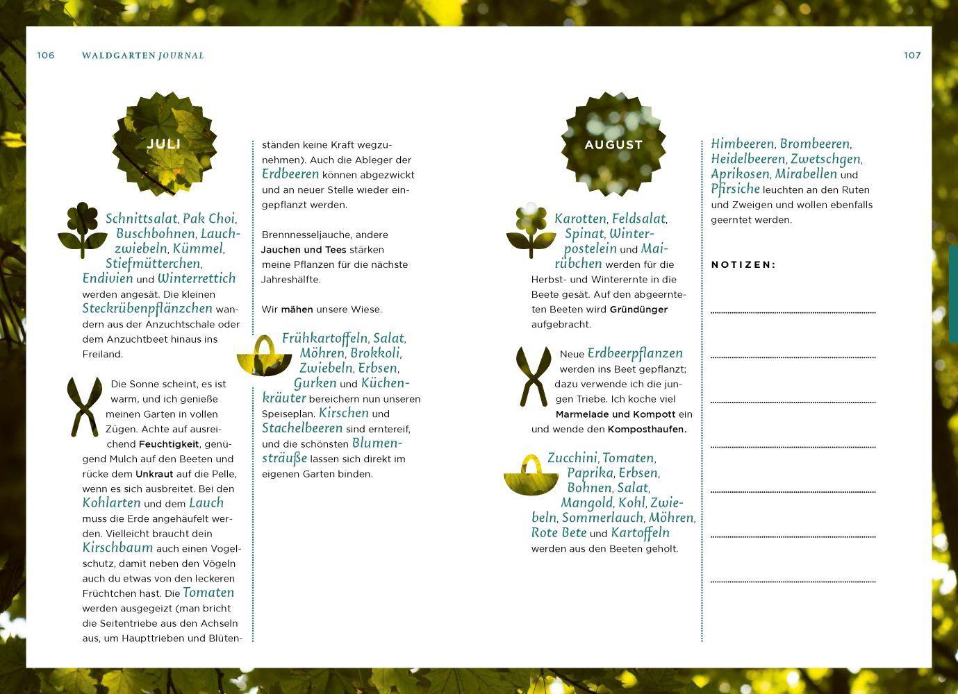 Beispielinhalt (Bild) Mein Waldgarten