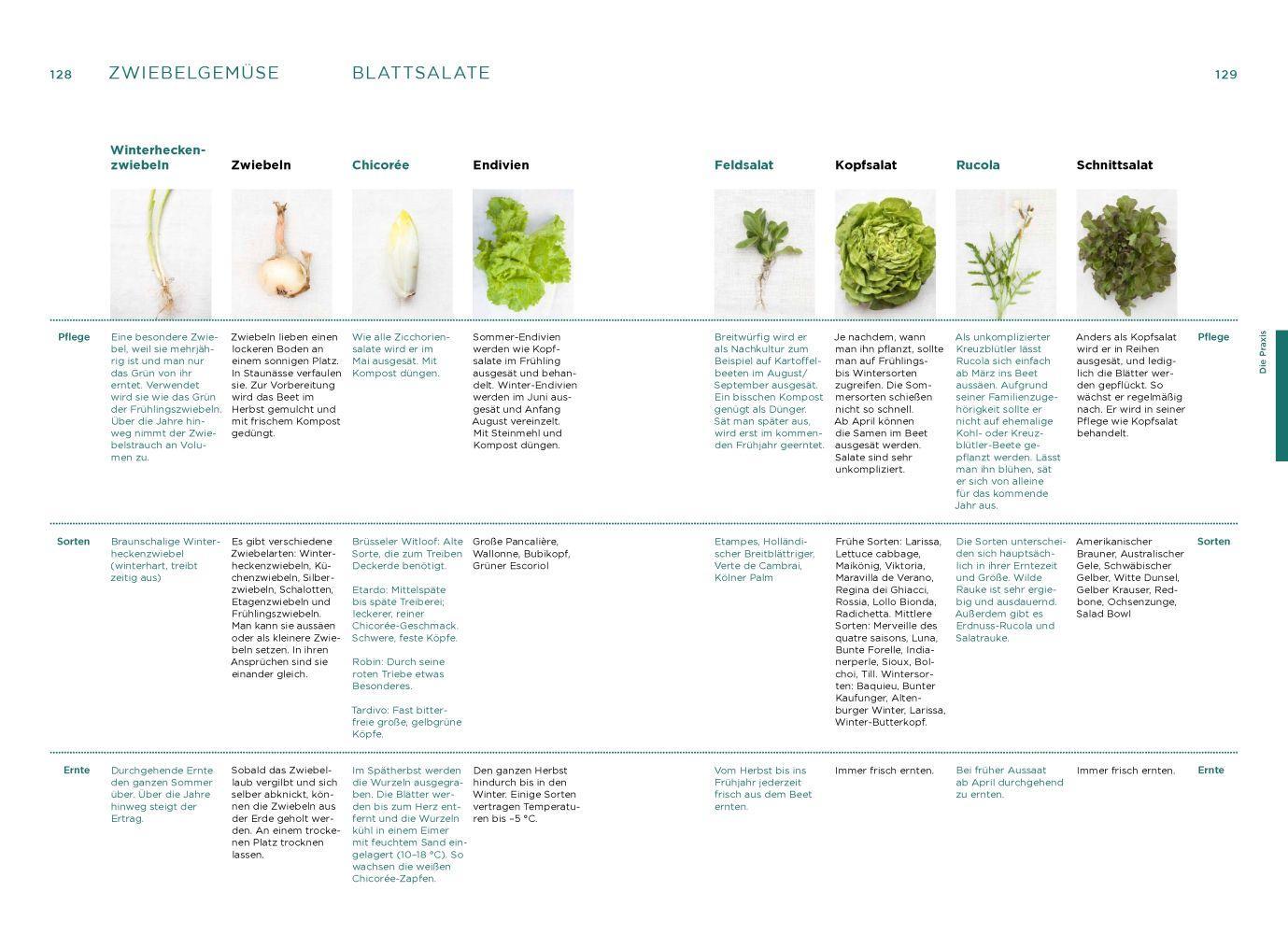 Beispielinhalt (Bild) Mein Waldgarten