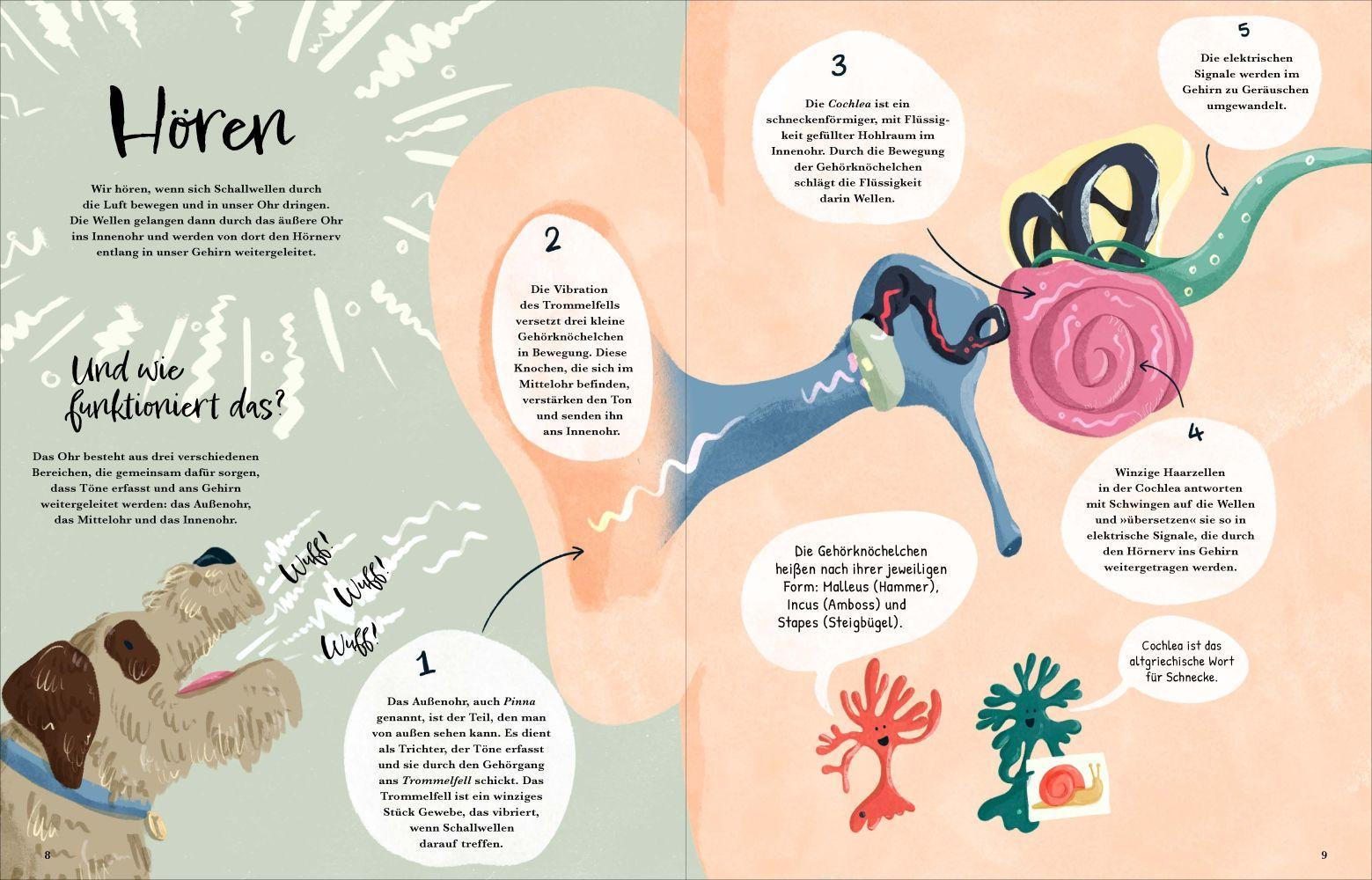 Beispielinhalt (Bild) Mit allen sieben Sinnen