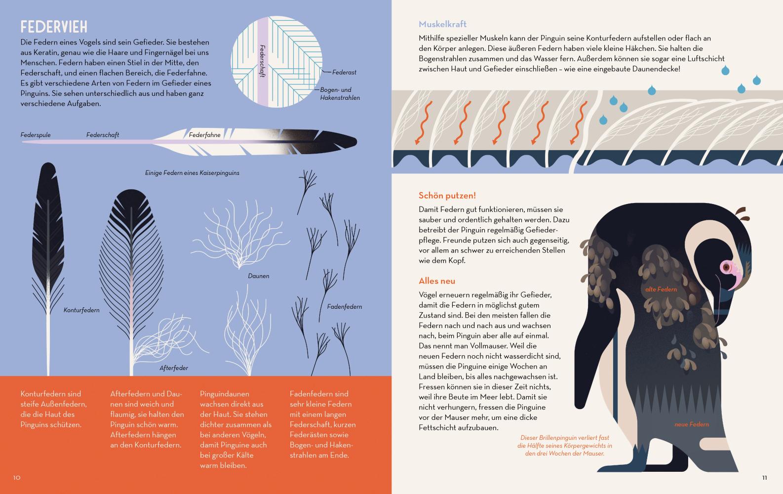 Beispielinhalt (Bild) Die große Pinguinparade
