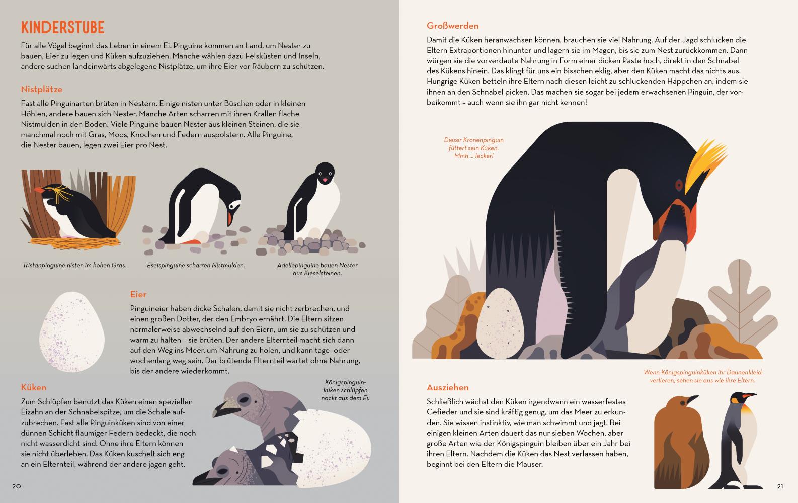 Beispielinhalt (Bild) Die große Pinguinparade