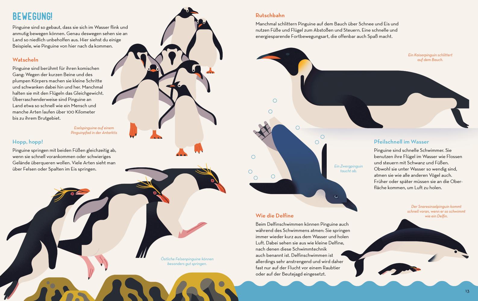 Beispielinhalt (Bild) Die große Pinguinparade