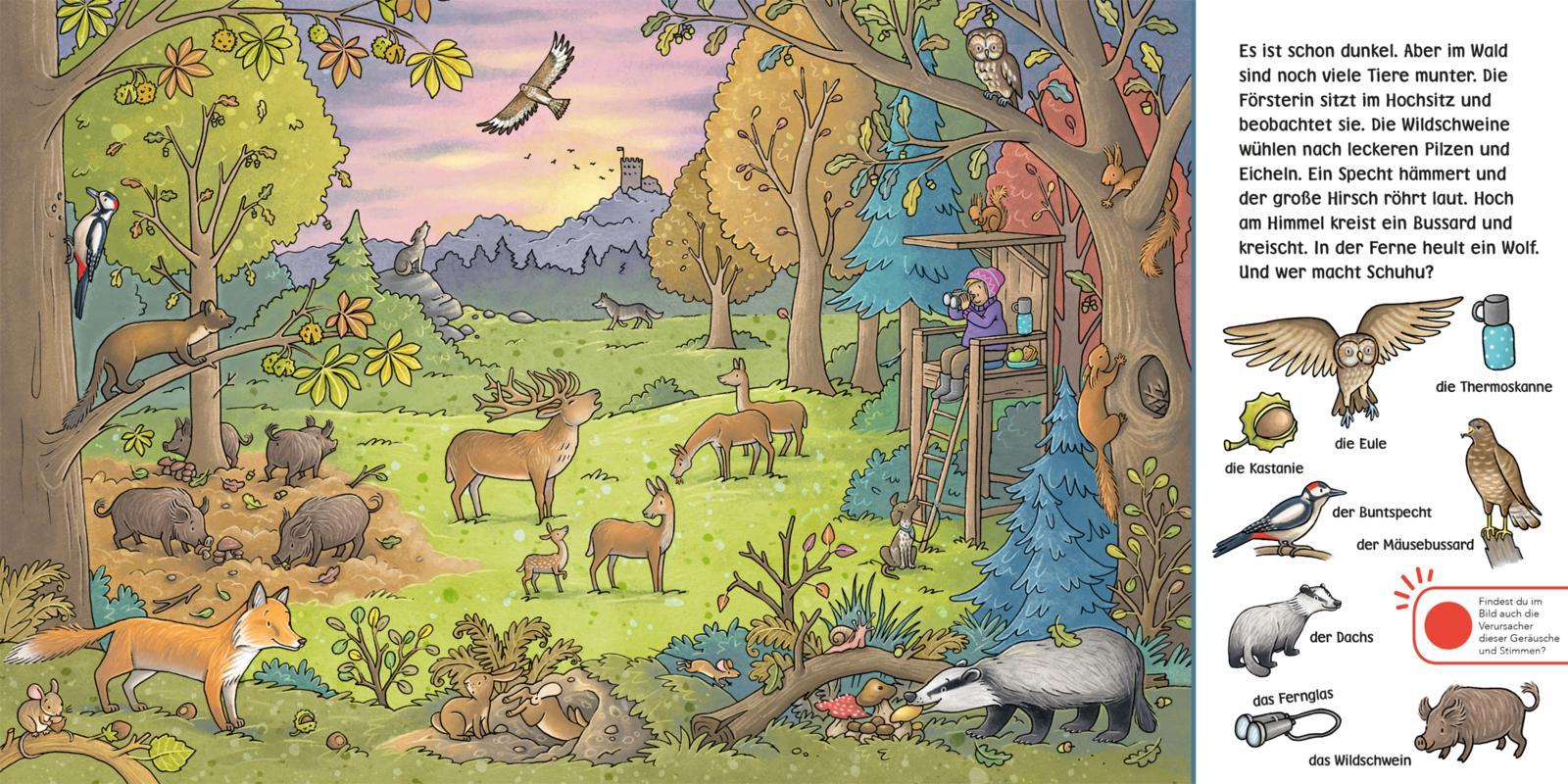 Beispielinhalt (Bild) Hör mal (Soundbuch): Wimmelbuch: Wald und Wiese