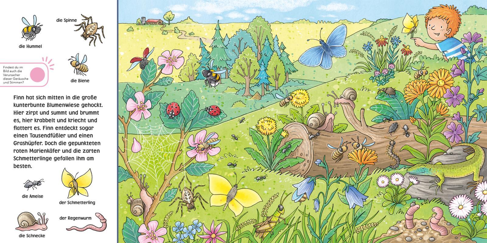 Beispielinhalt (Bild) Hör mal (Soundbuch): Wimmelbuch: Wald und Wiese