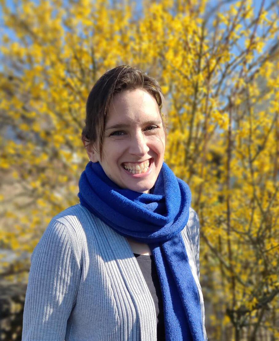 Autorenbild Hör mal (Soundbuch): Wimmelbuch: Wald und Wiese