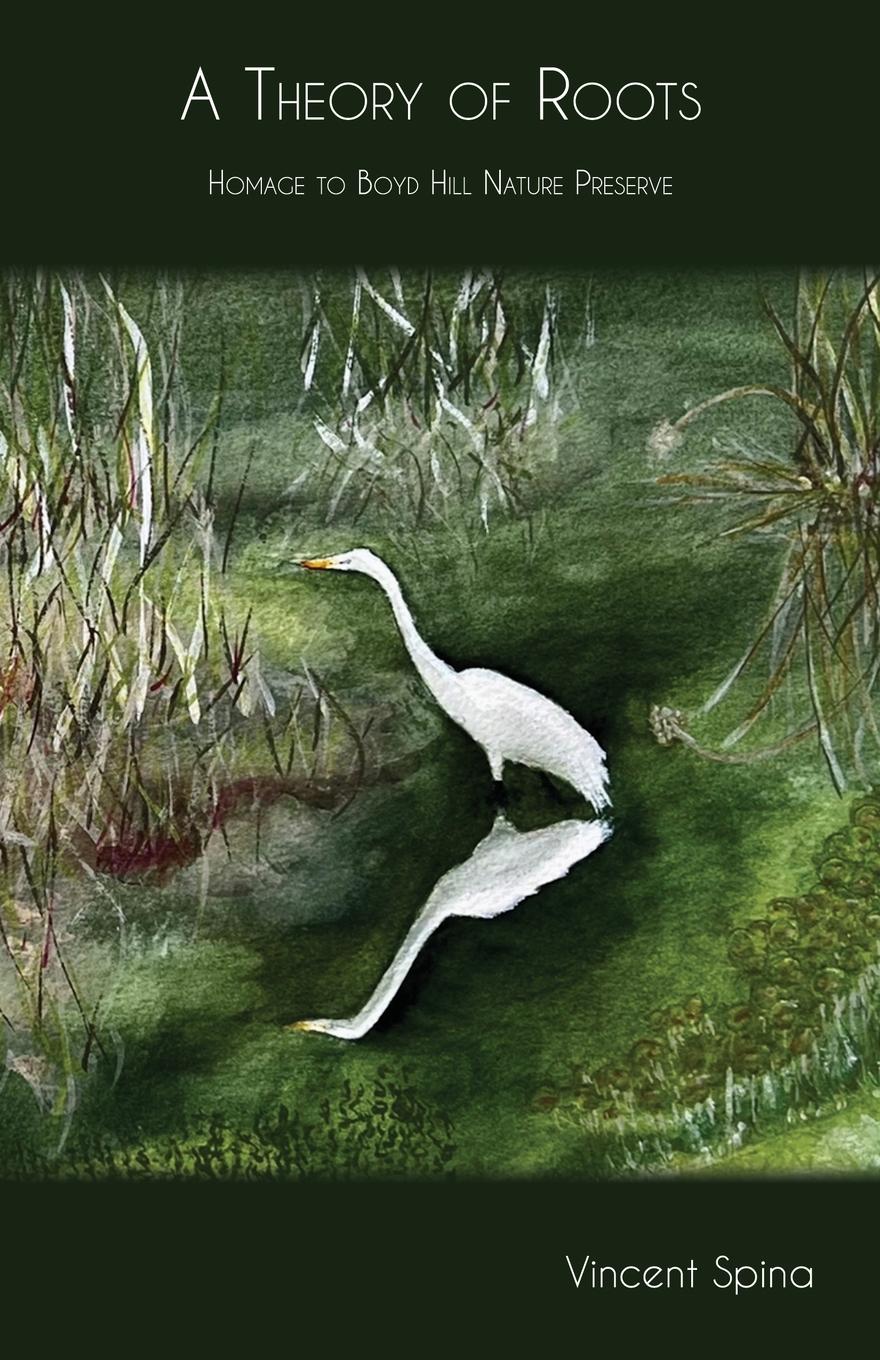 Vorderes Coverbild A Theory of Roots