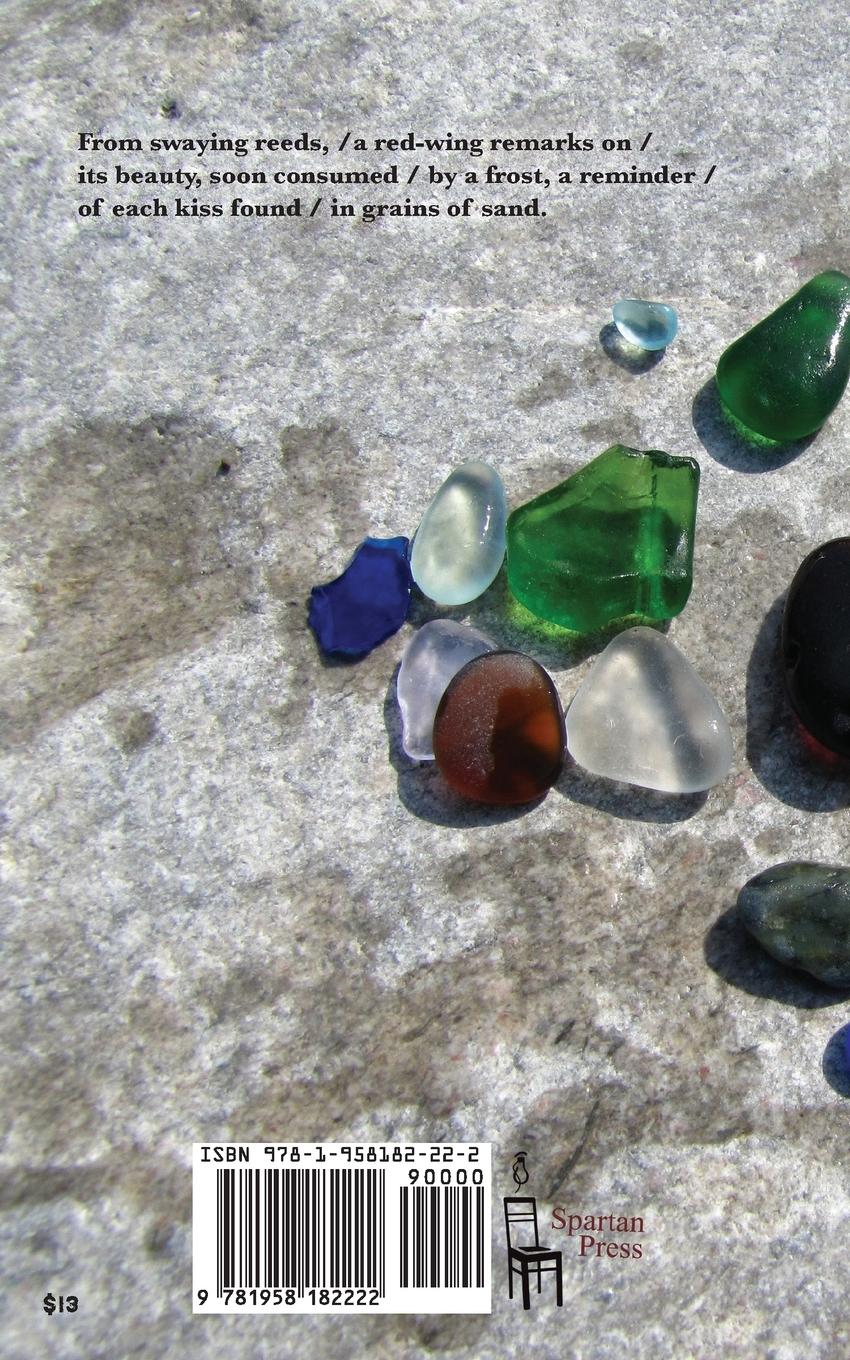 Rückseitencover Glass Awash