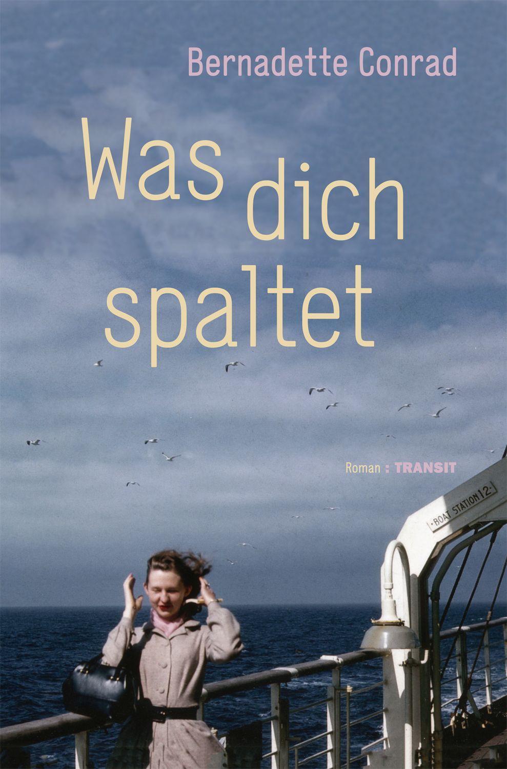 Vorderes Coverbild Was dich spaltet