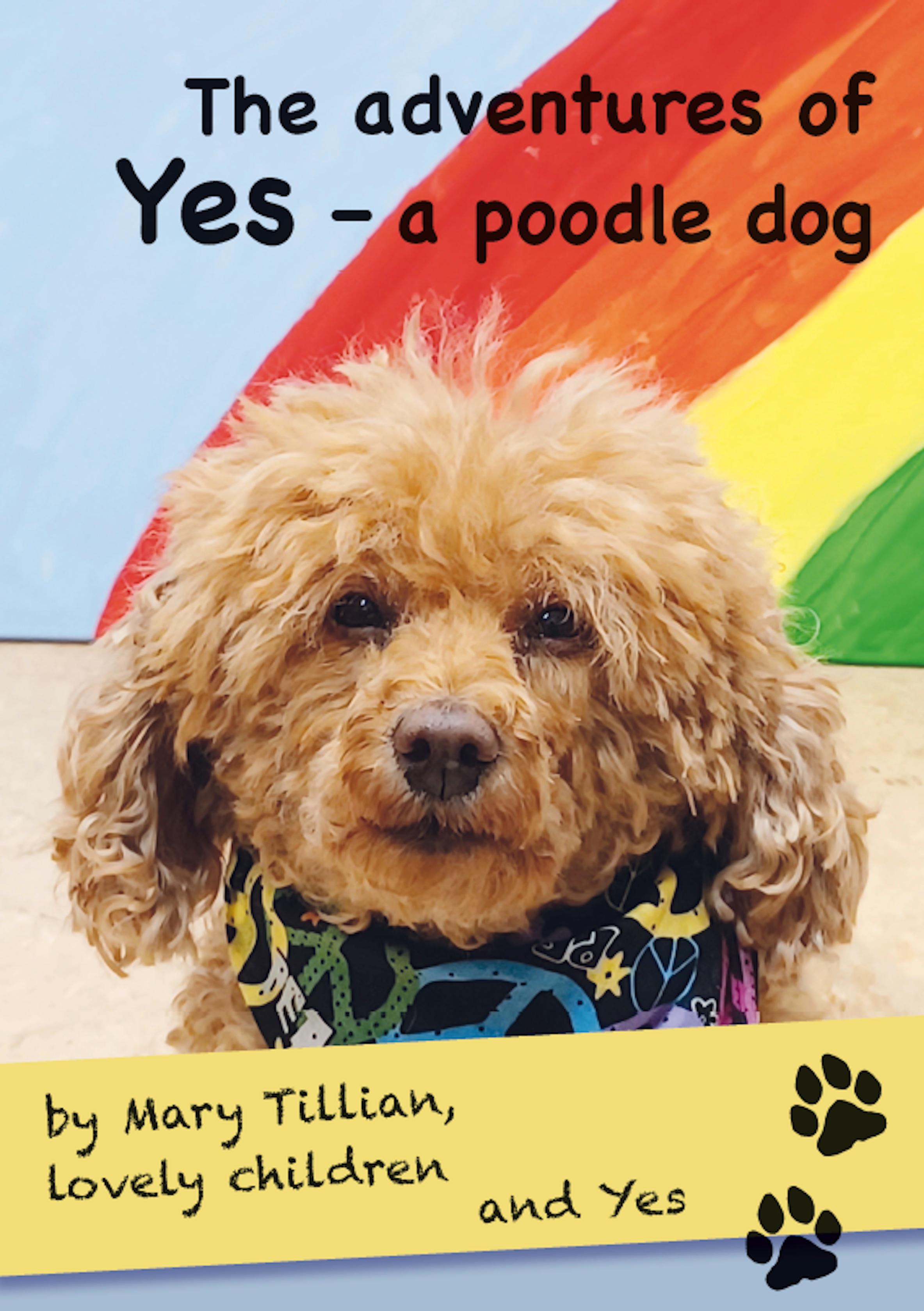 Vorderes Coverbild The adventures of Yes - a poodle dog