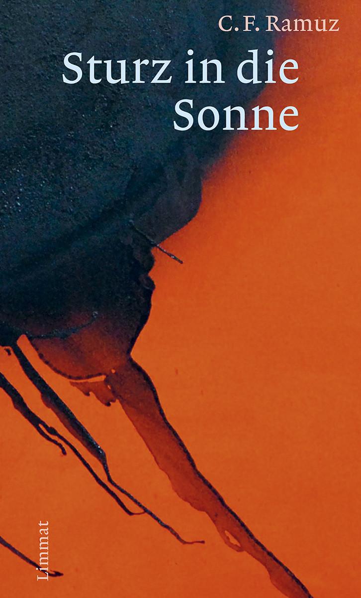 Vorderes Coverbild Sturz in die Sonne