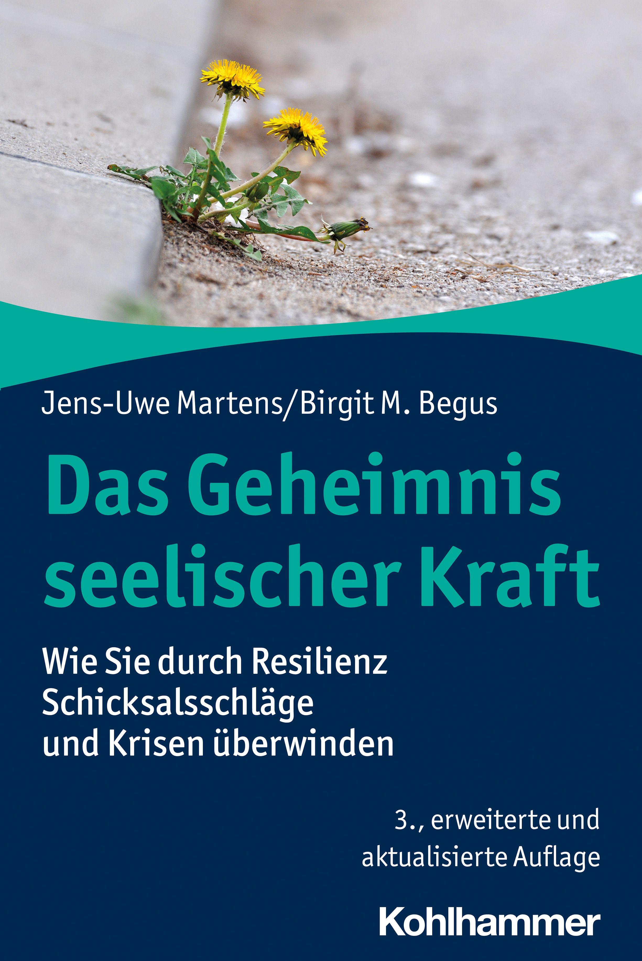 Vorderes Coverbild Das Geheimnis seelischer Kraft