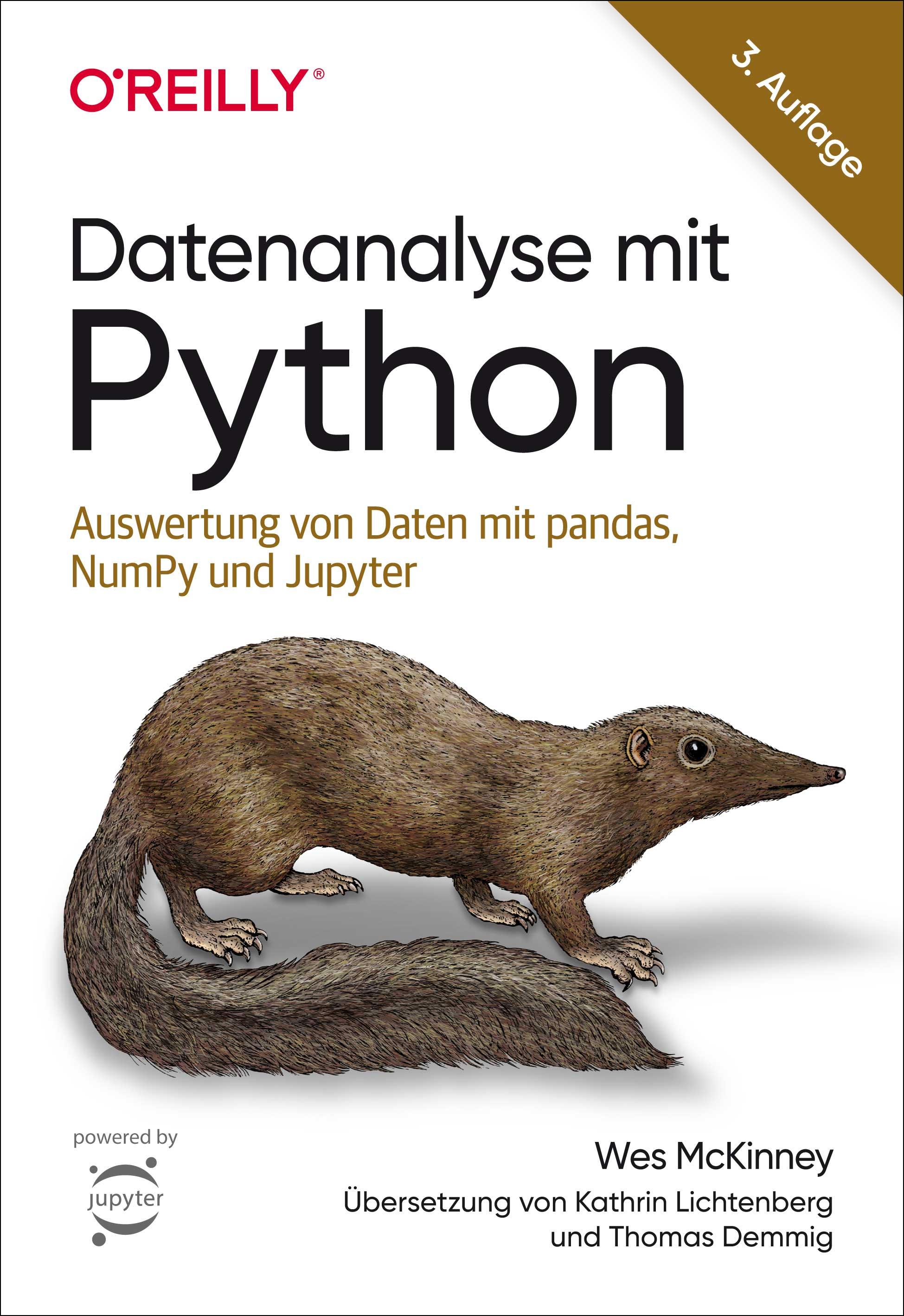 Vorderes Coverbild Datenanalyse mit Python
