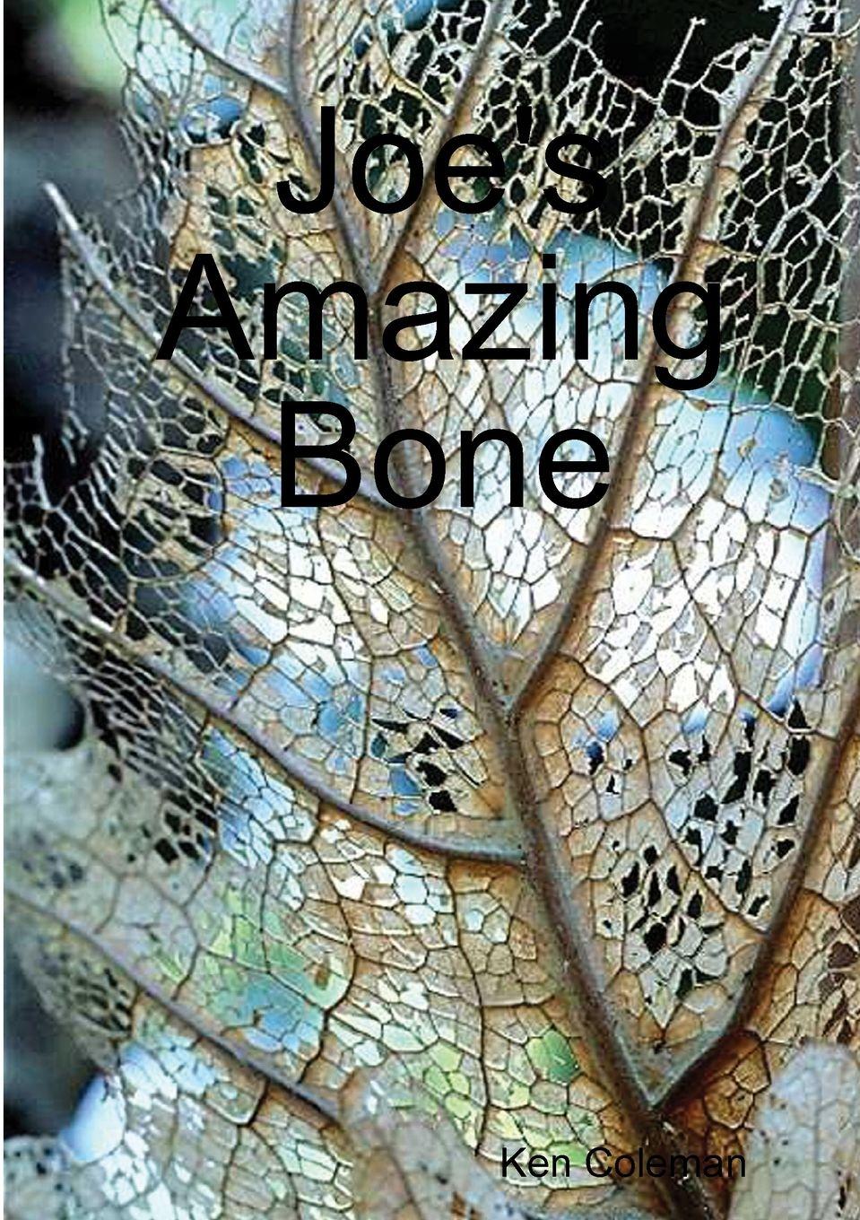 Vorderes Coverbild Joe's Amazing Bone