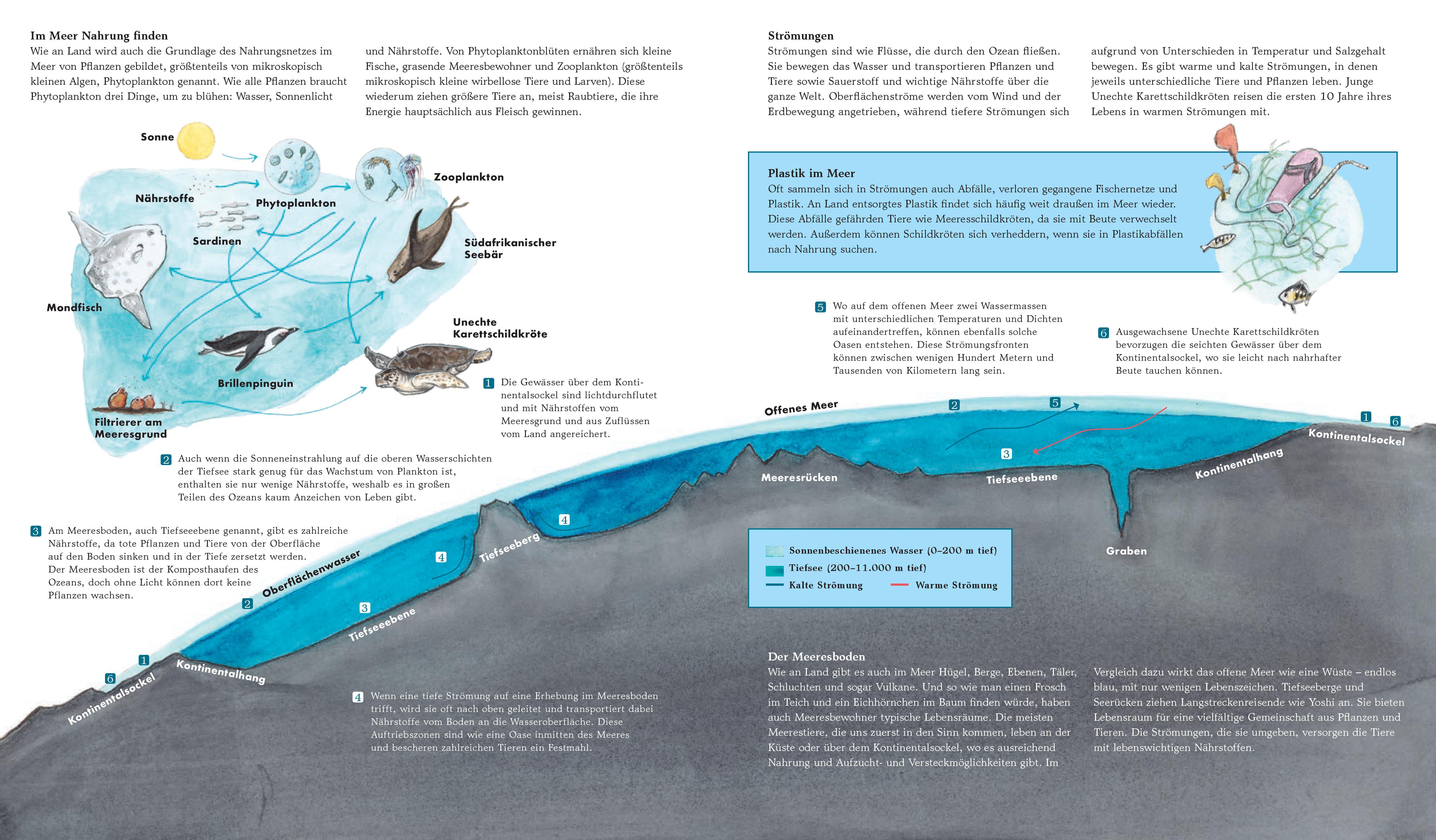 Beispielinhalt (Bild) Yoshi und das Meer
